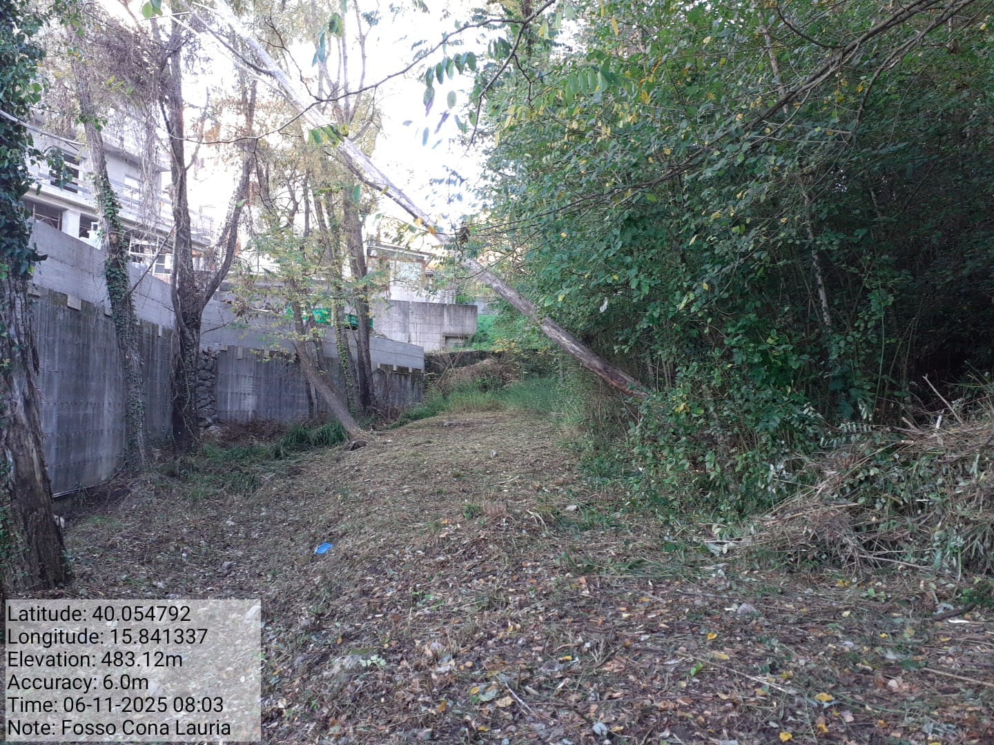 Galleria Fotografica Immagine