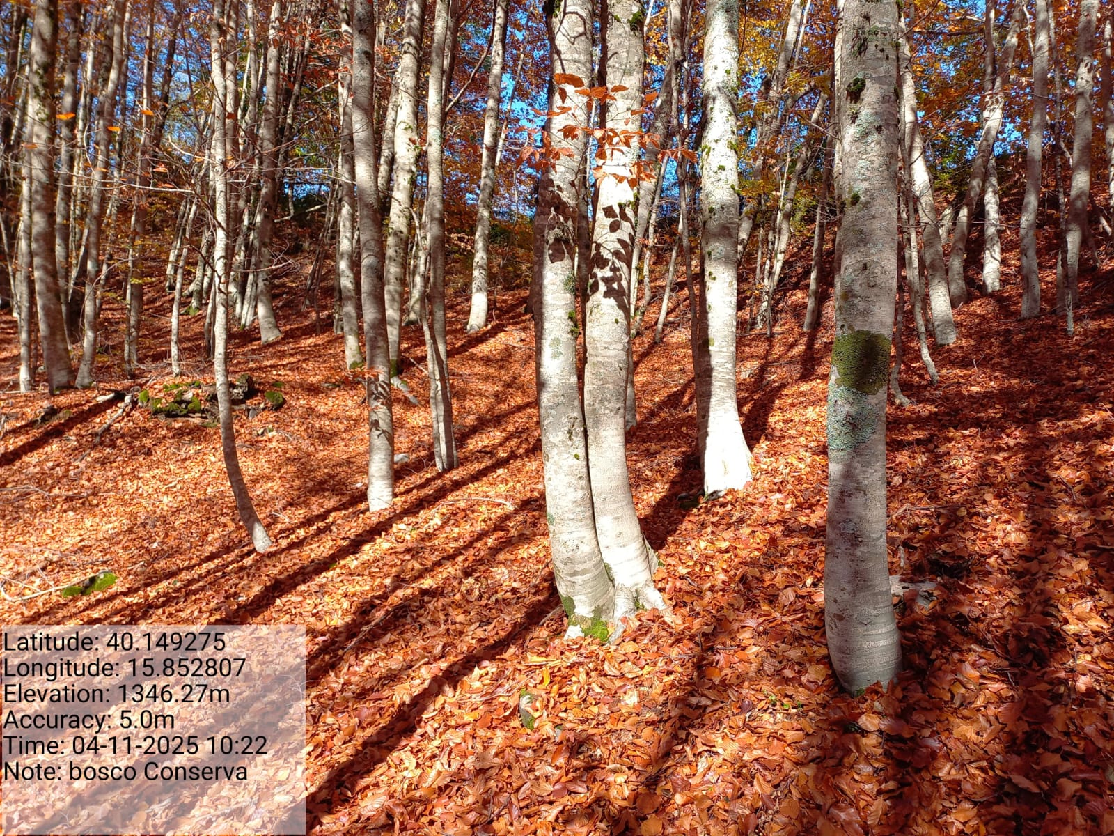 Galleria Fotografica Immagine