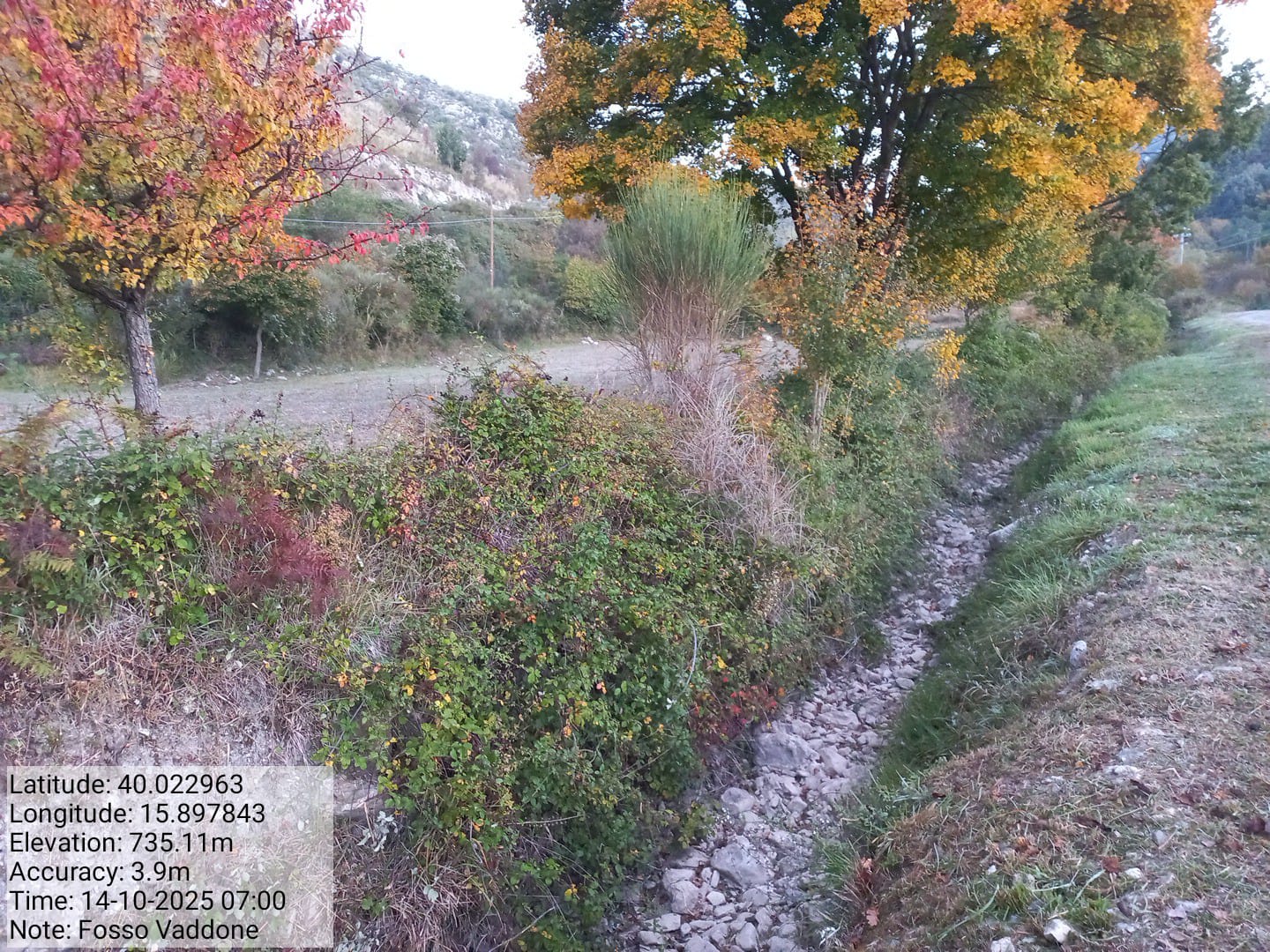 Galleria Fotografica Immagine