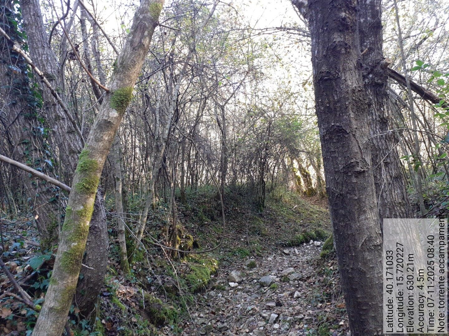 Galleria Fotografica Immagine