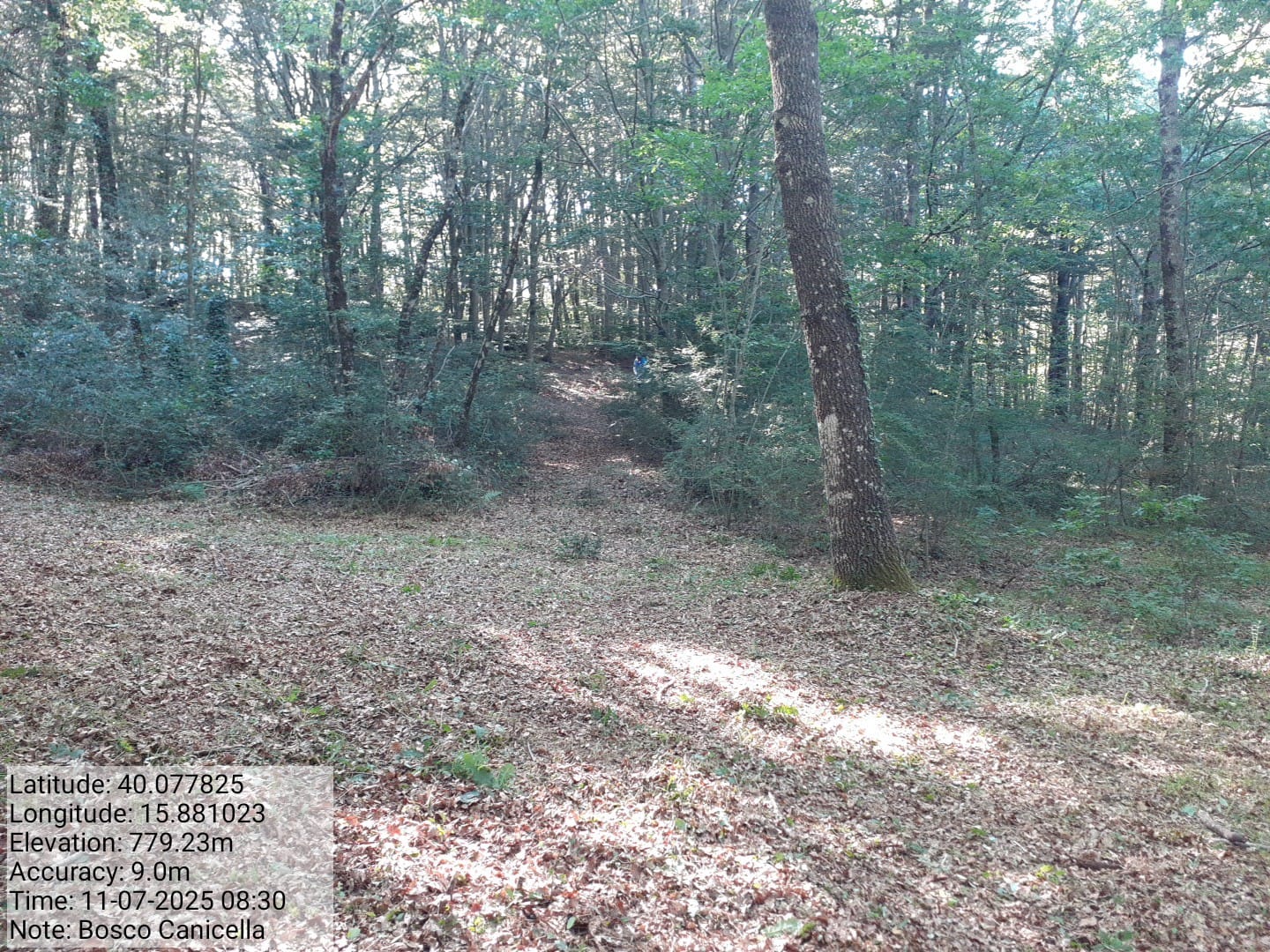 Galleria Fotografica Immagine