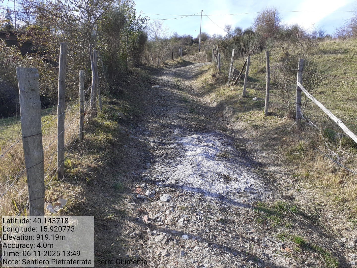 Galleria Fotografica Immagine