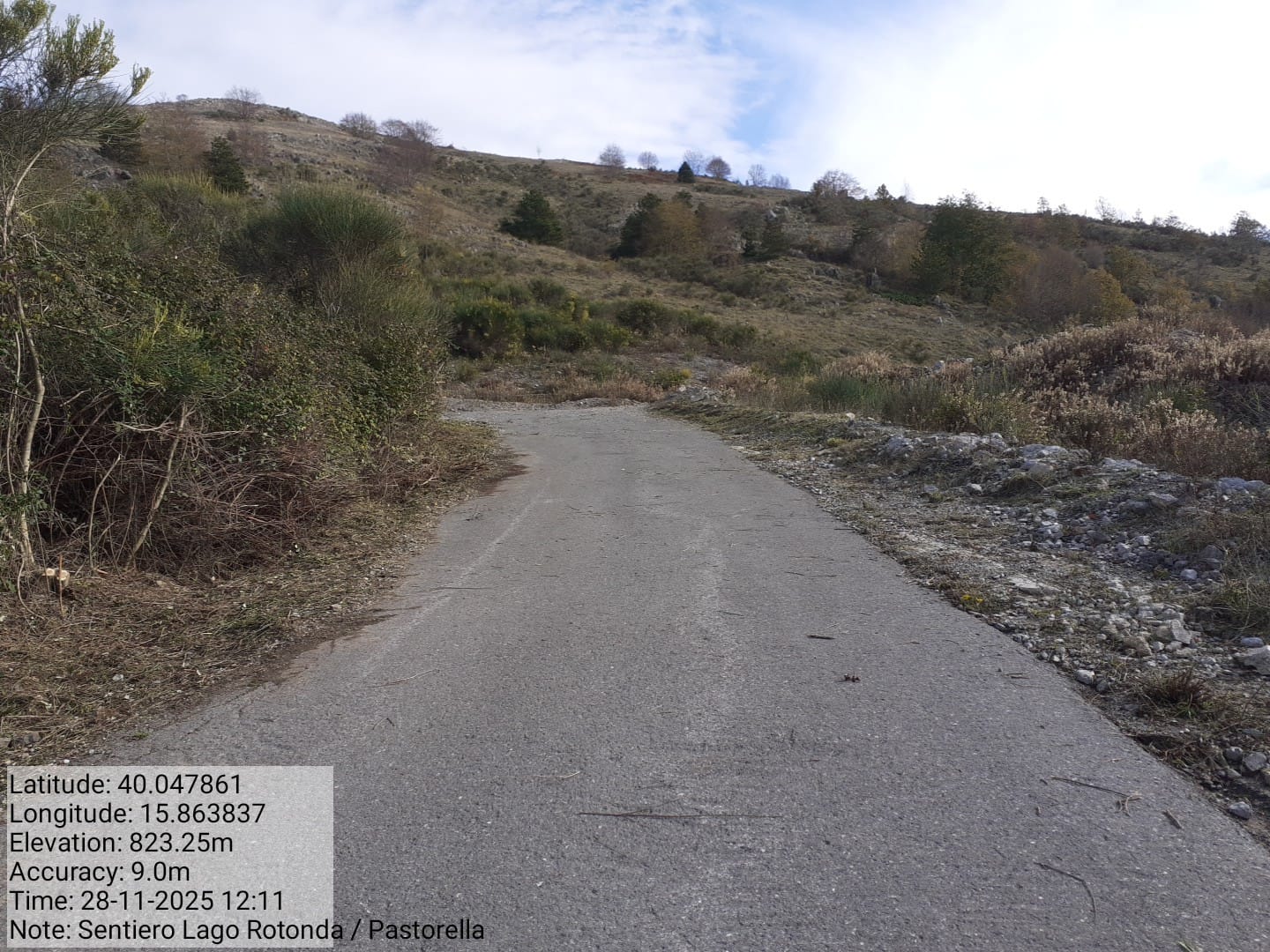 Galleria Fotografica Immagine