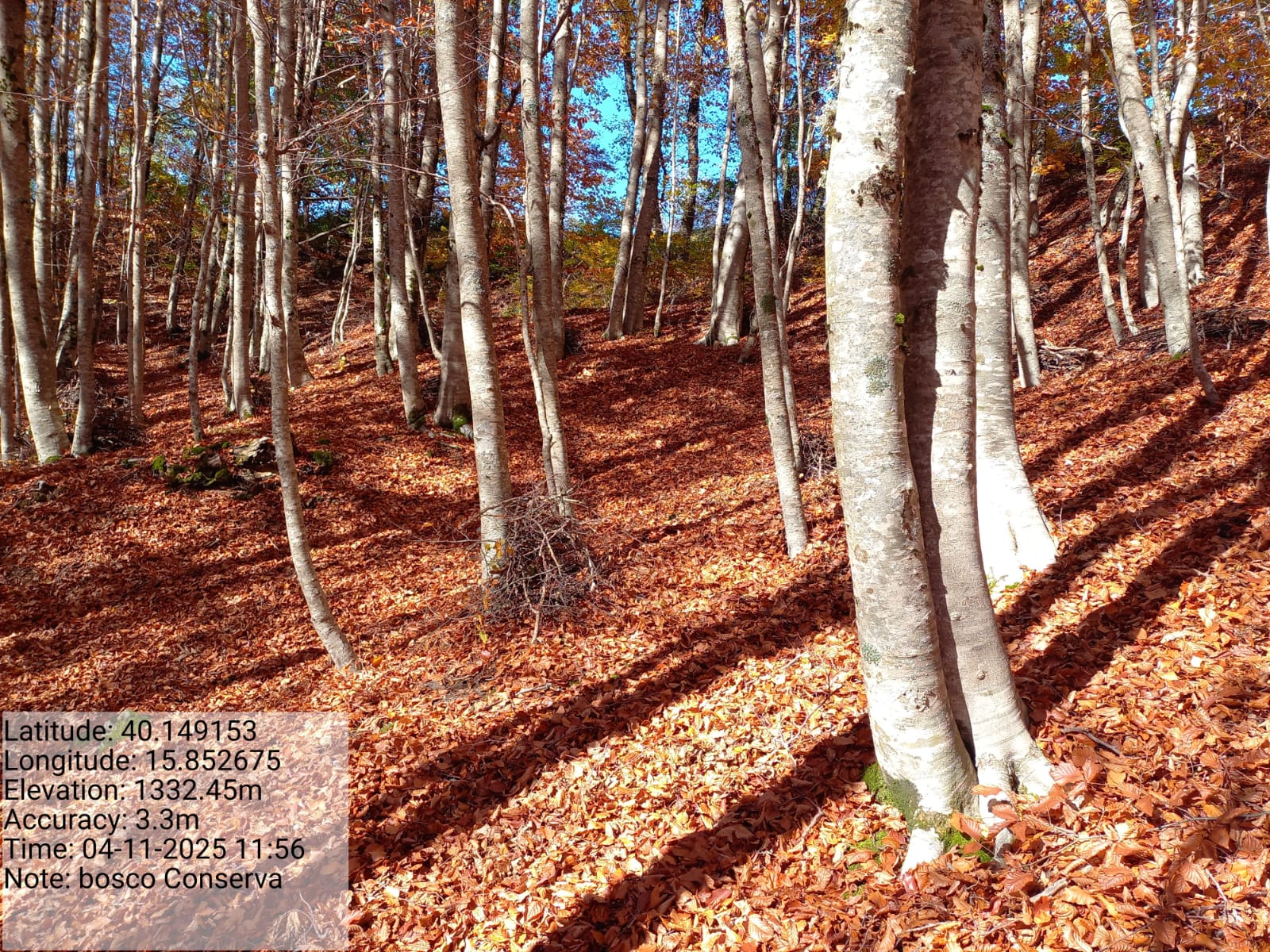 Galleria Fotografica Immagine