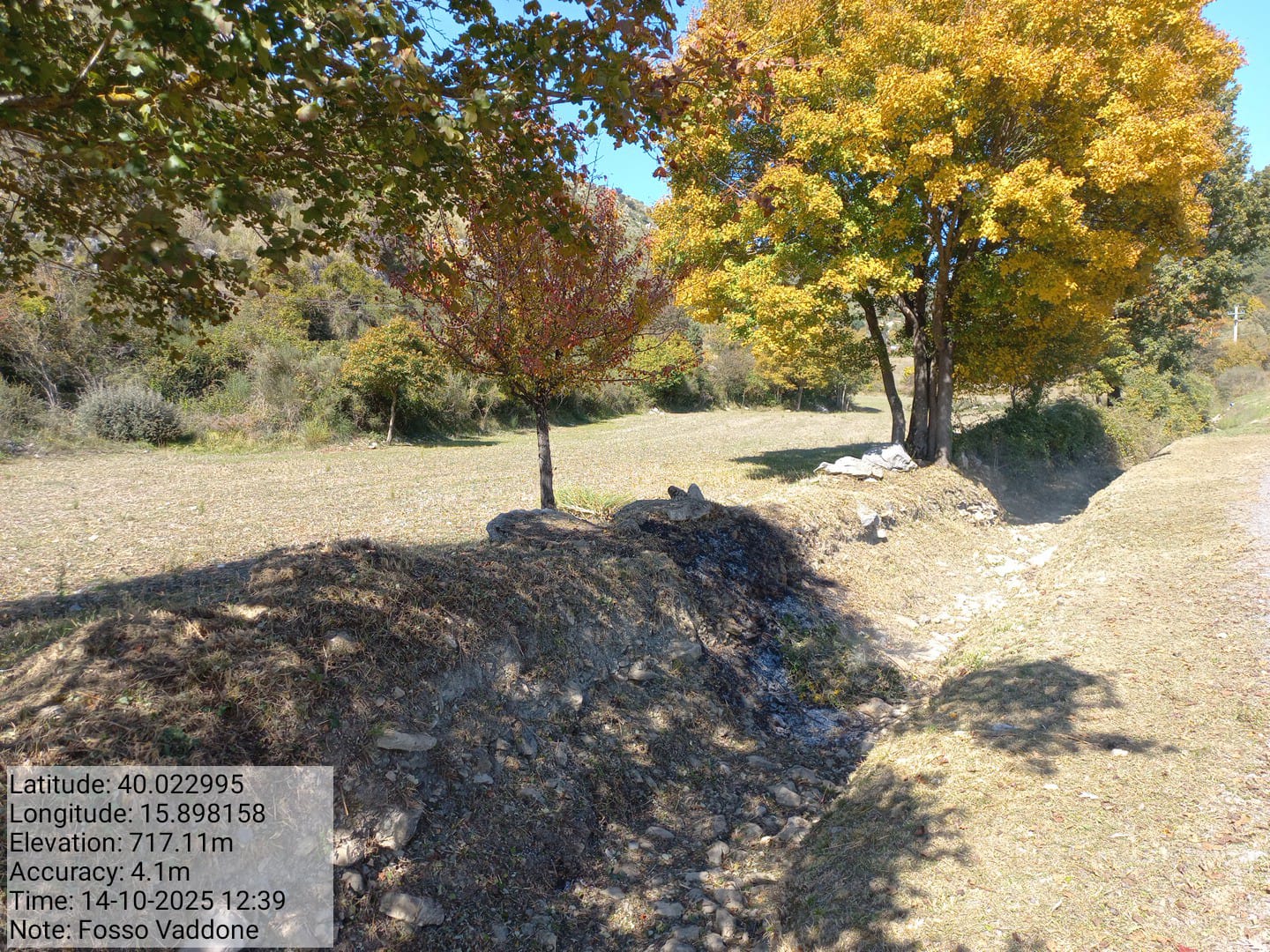 Galleria Fotografica Immagine