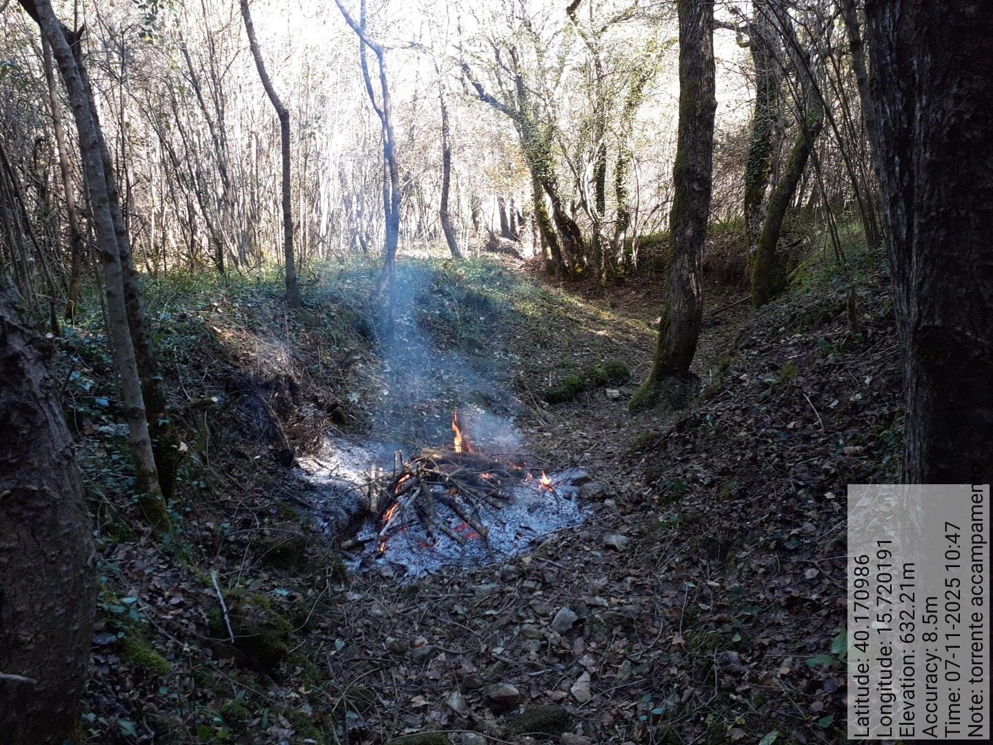 Galleria Fotografica Immagine