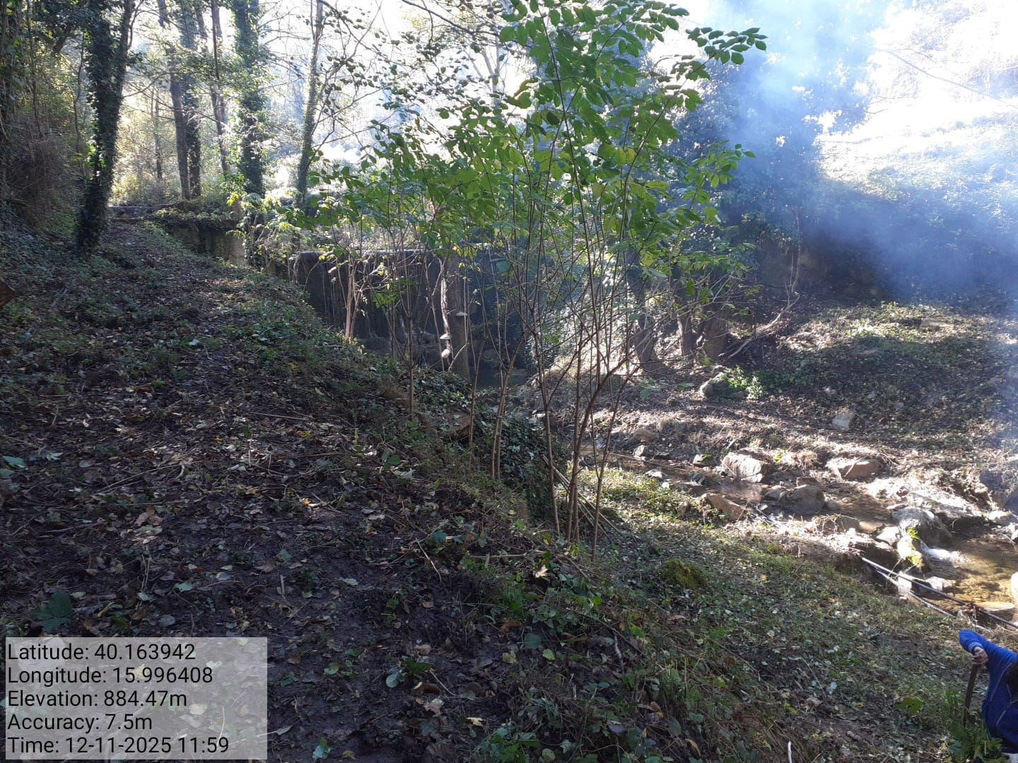 Galleria Fotografica Immagine