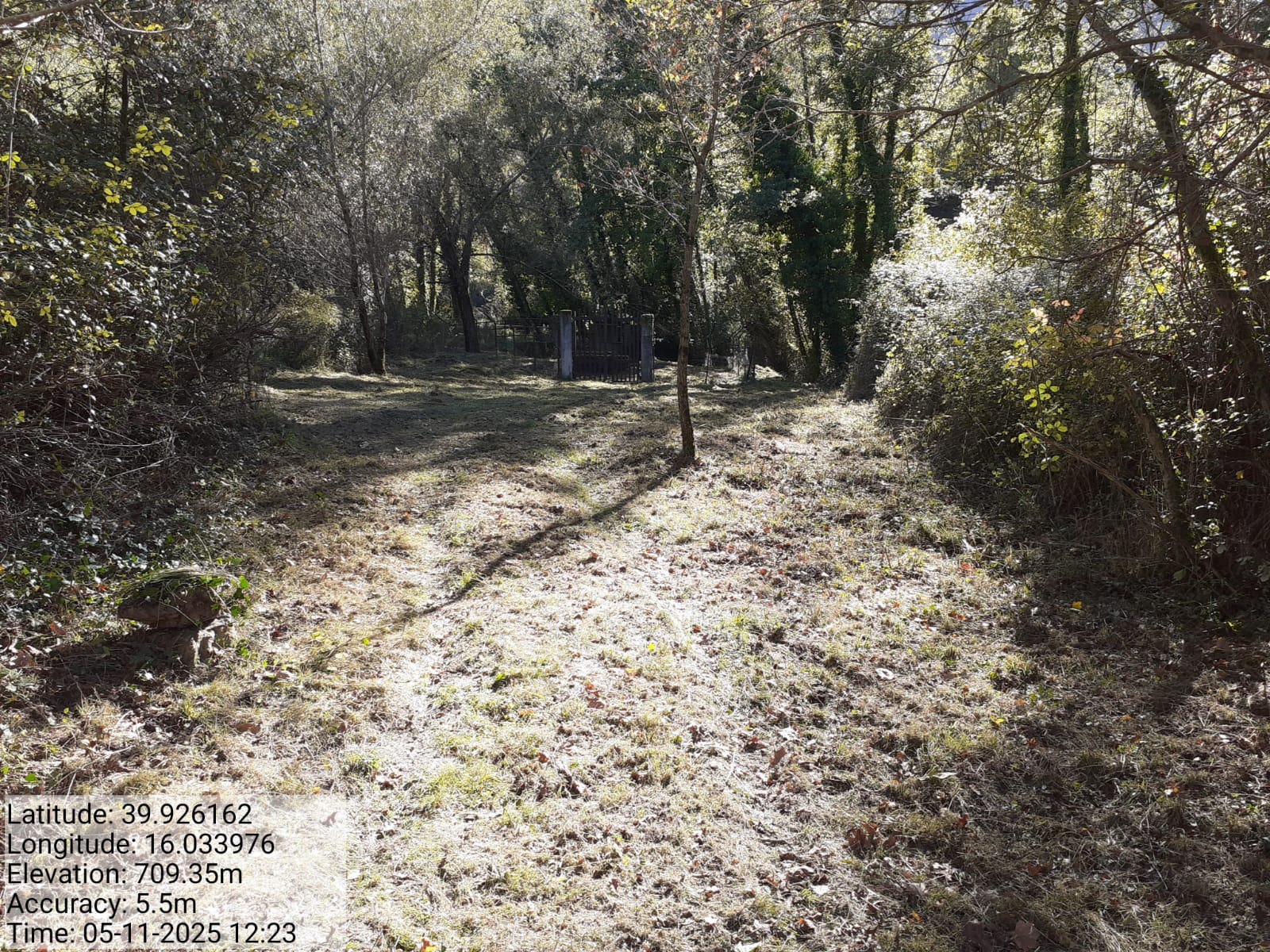 Galleria Fotografica Immagine