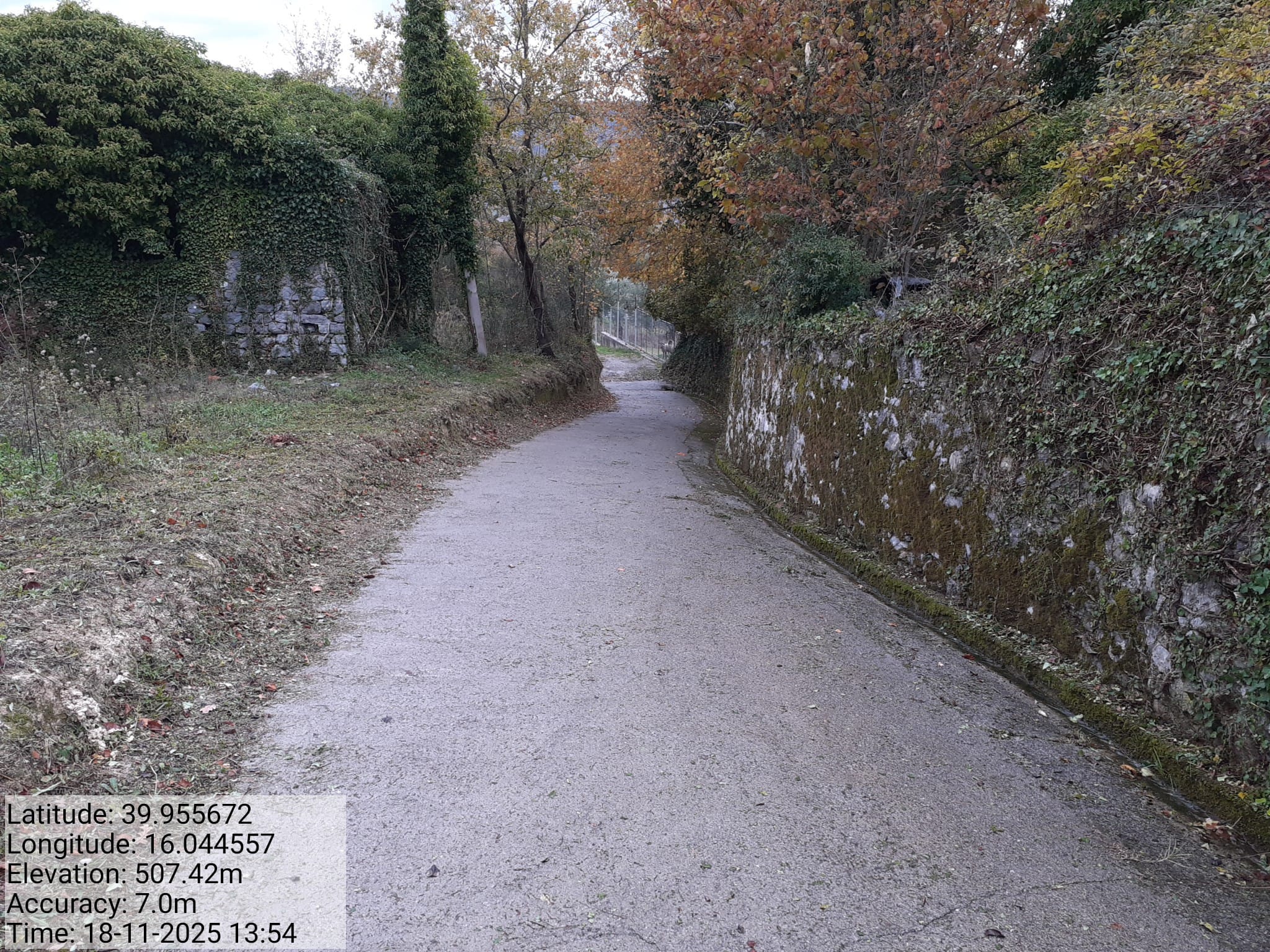 Galleria Fotografica Immagine