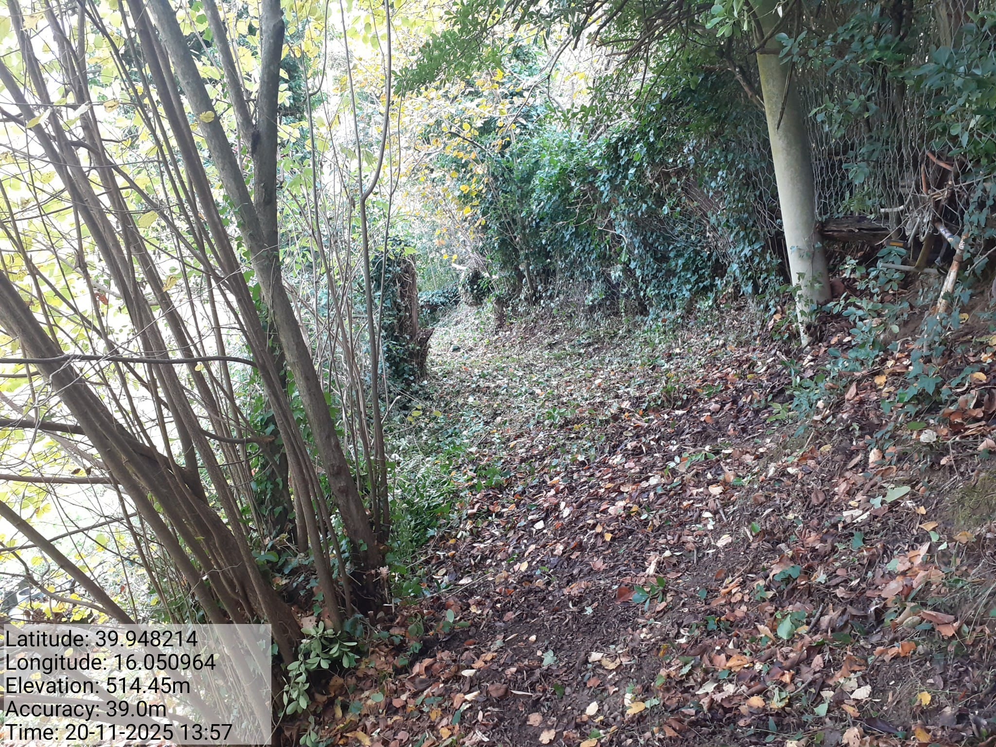 Galleria Fotografica Immagine