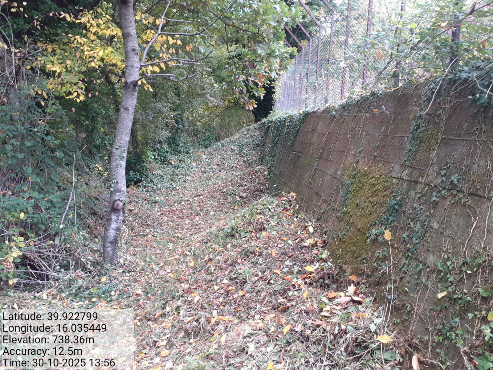 Galleria Fotografica Immagine