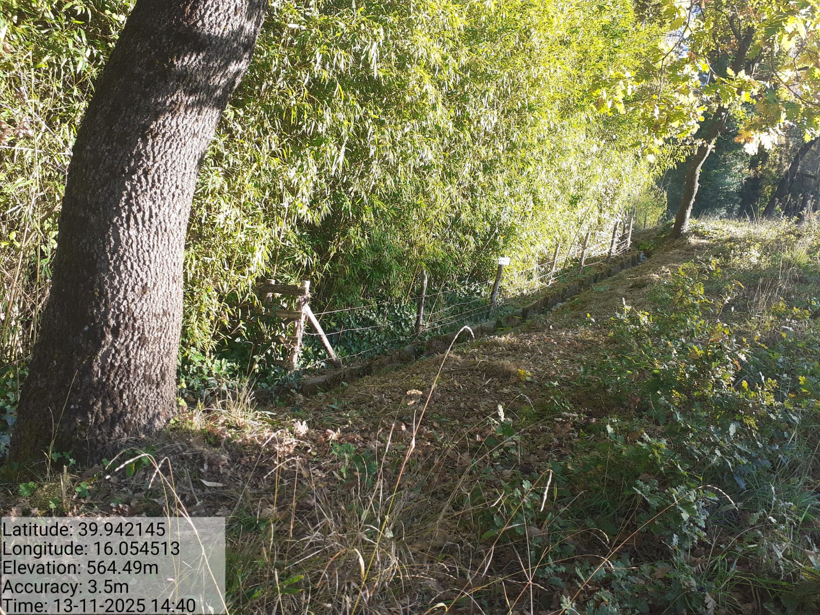 Galleria Fotografica Immagine