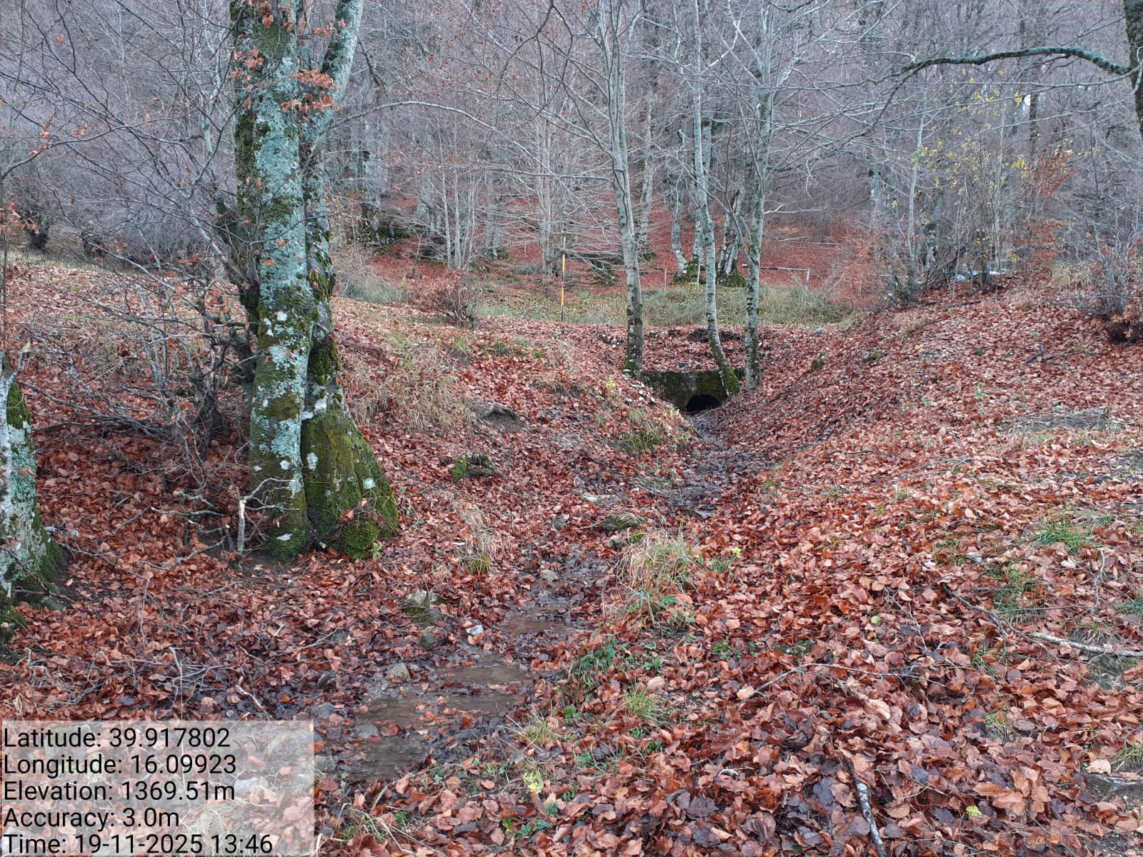 Galleria Fotografica Immagine