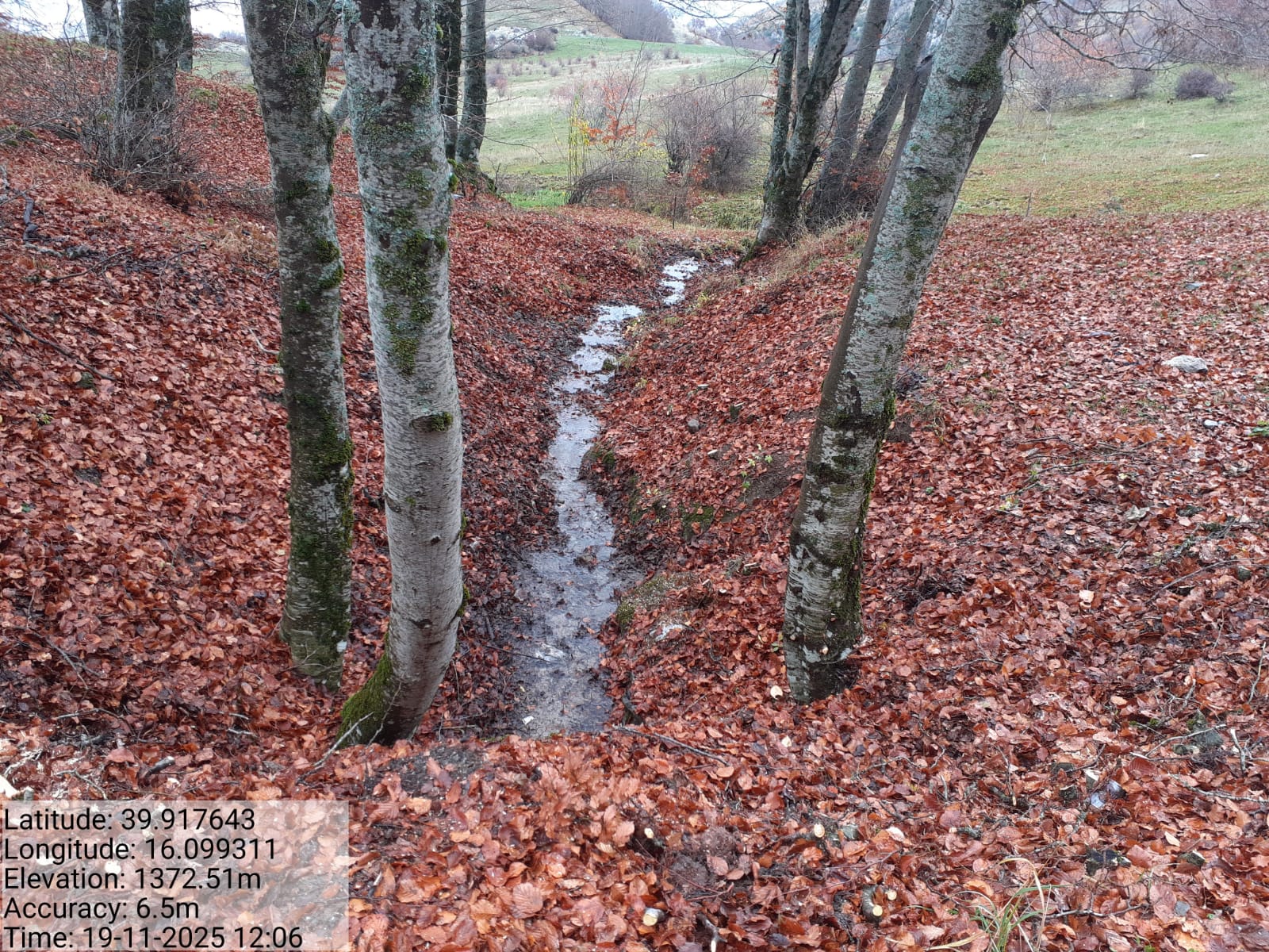 Galleria Fotografica Immagine