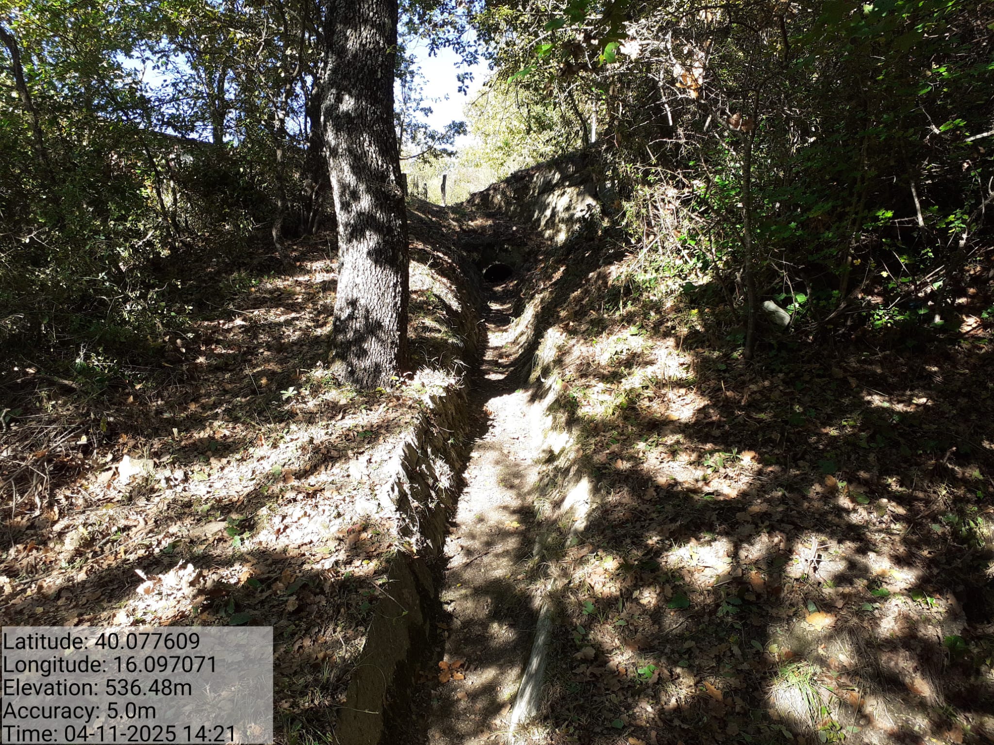 Galleria Fotografica Immagine