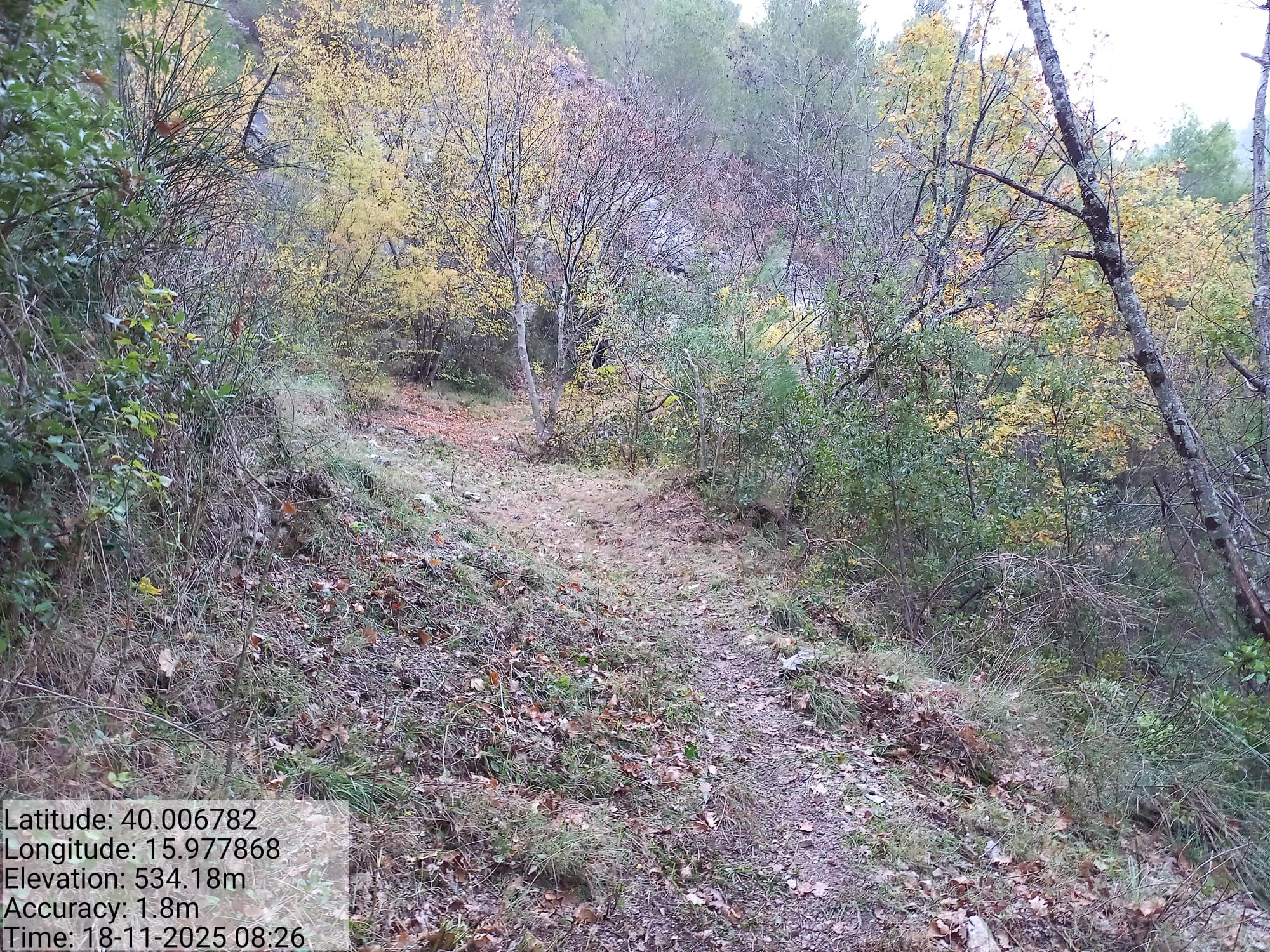 Galleria Fotografica Immagine