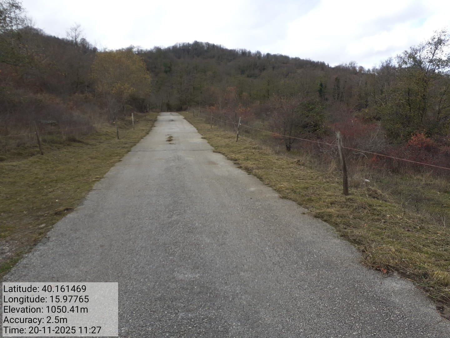 Galleria Fotografica Immagine