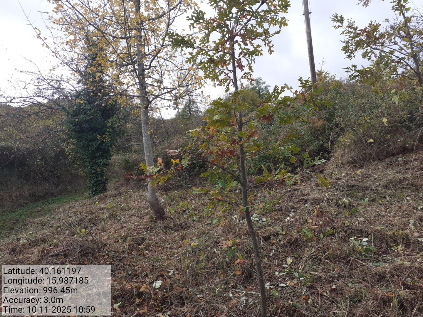 Galleria Fotografica Immagine