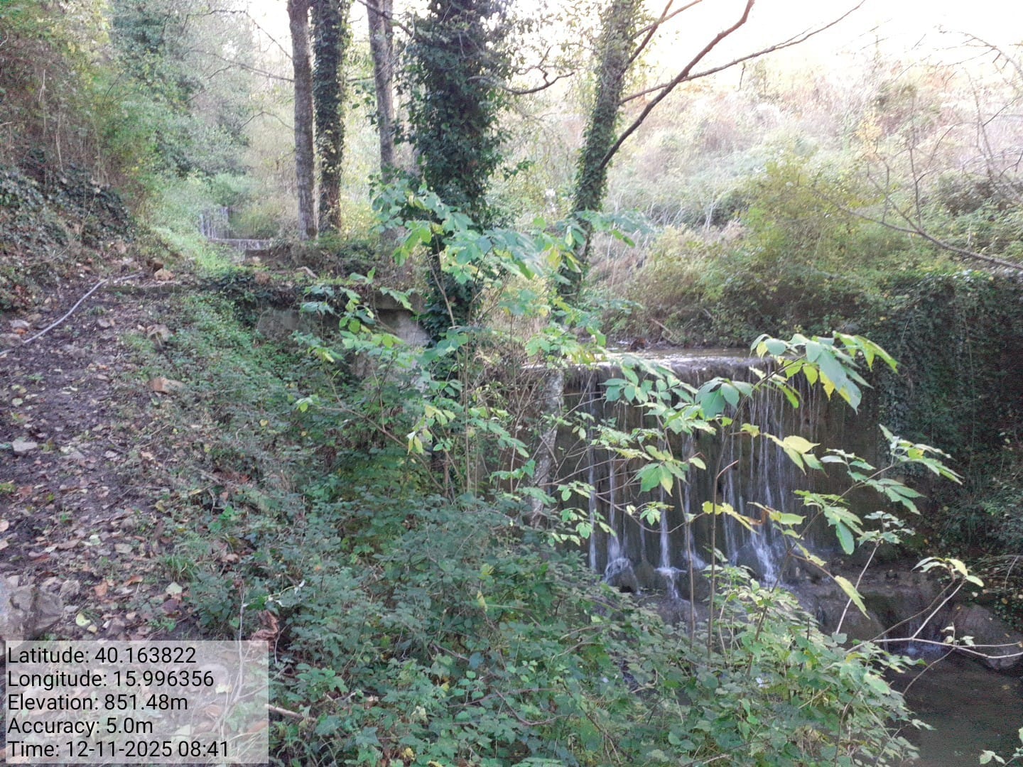 Galleria Fotografica Immagine