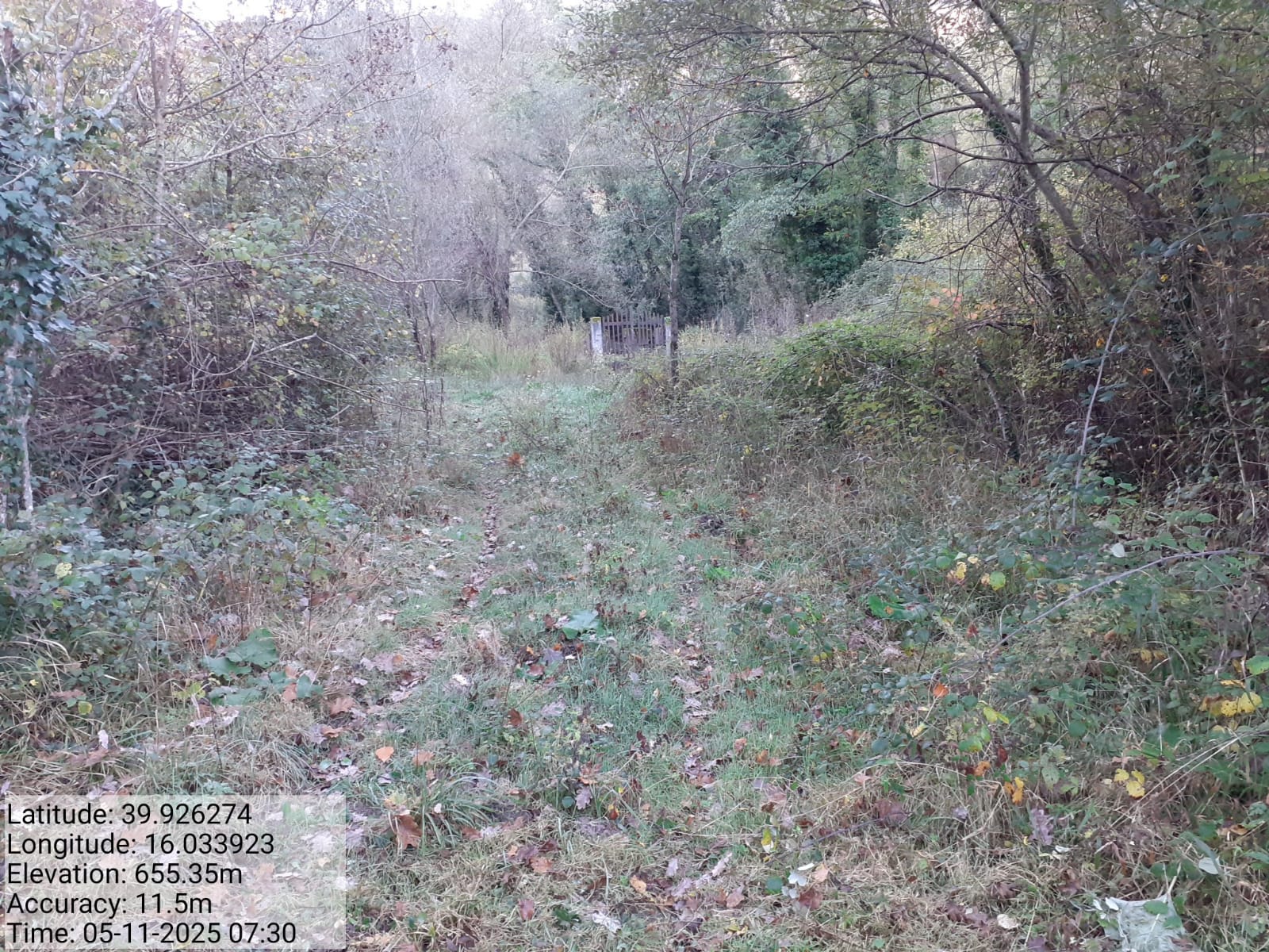 Galleria Fotografica Immagine