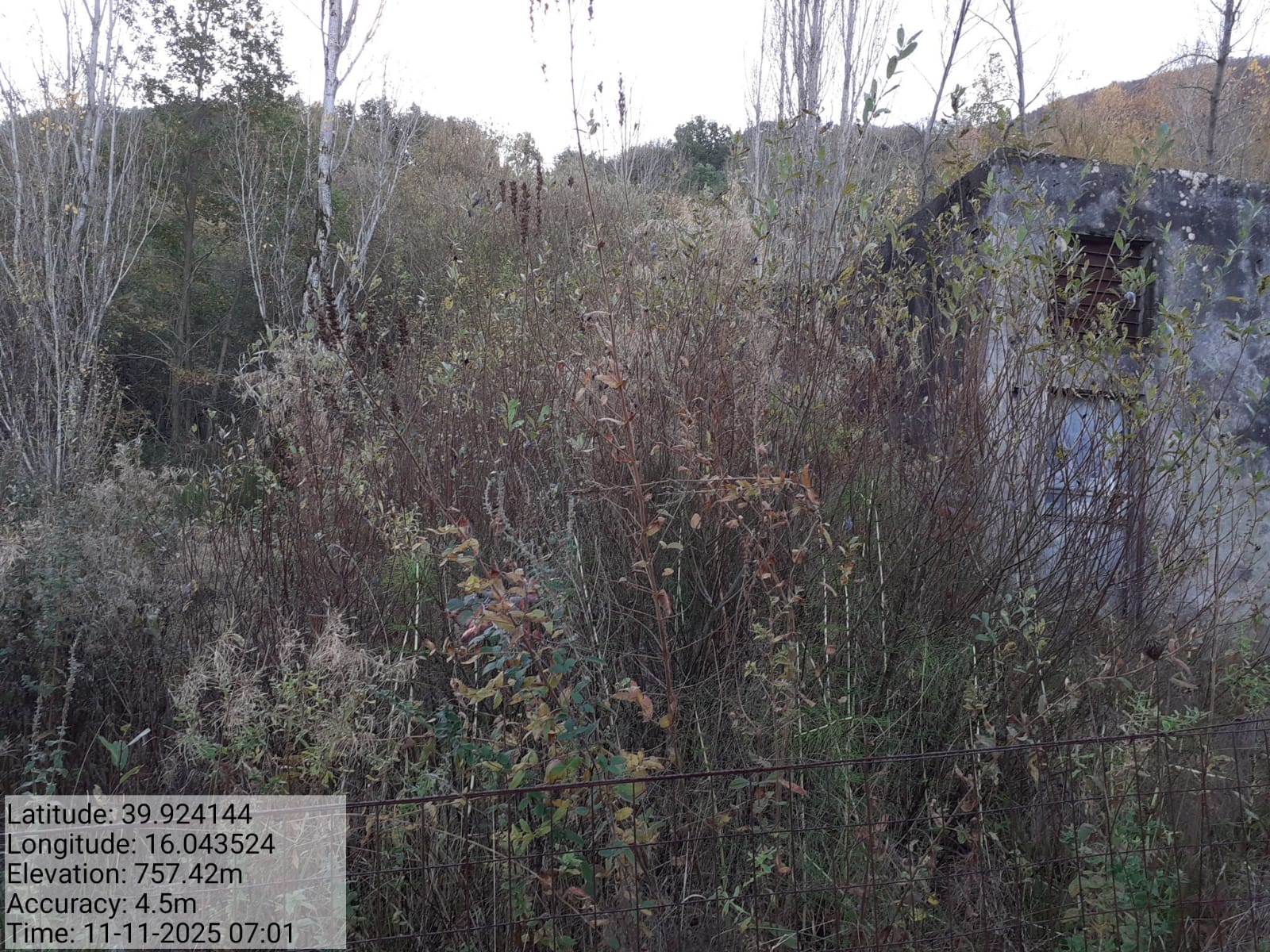 Galleria Fotografica Immagine