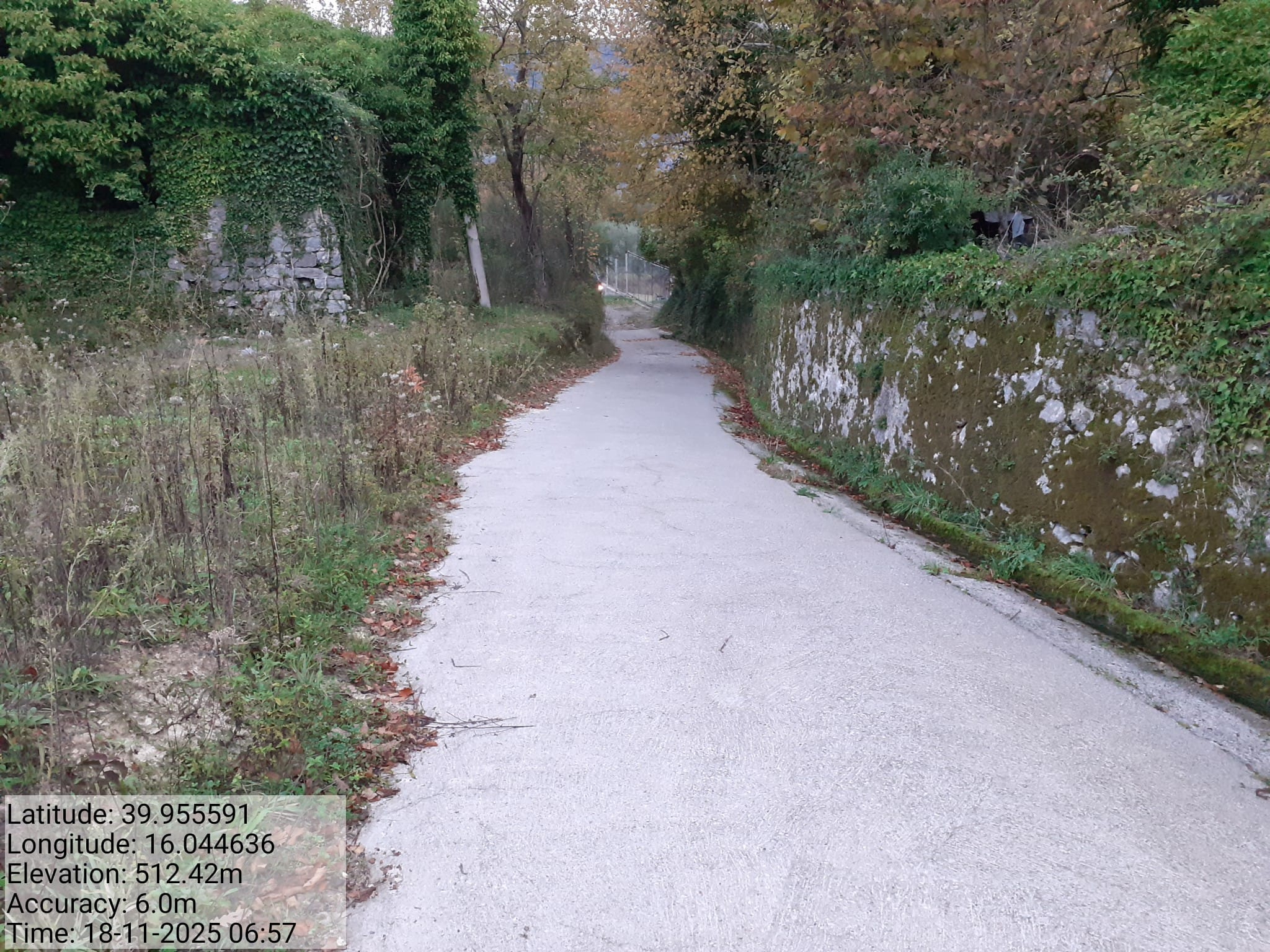 Galleria Fotografica Immagine