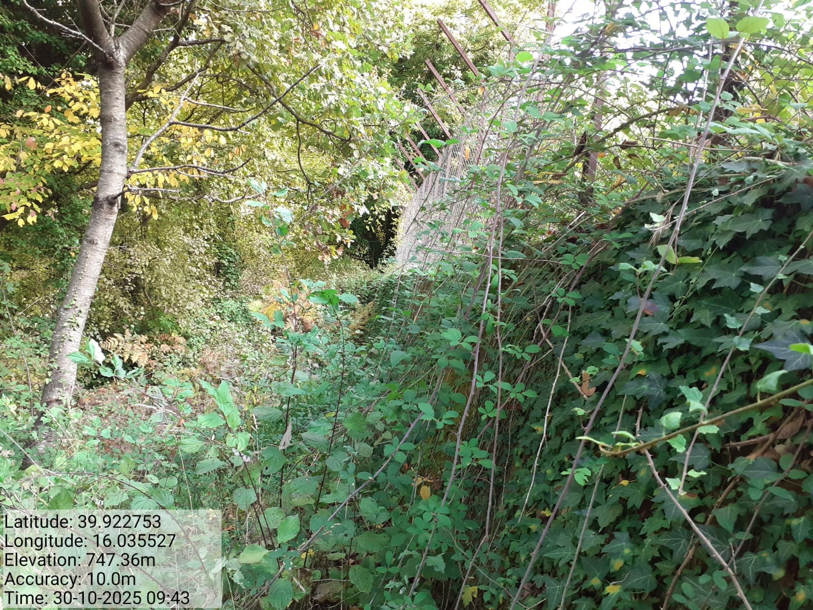 Galleria Fotografica Immagine