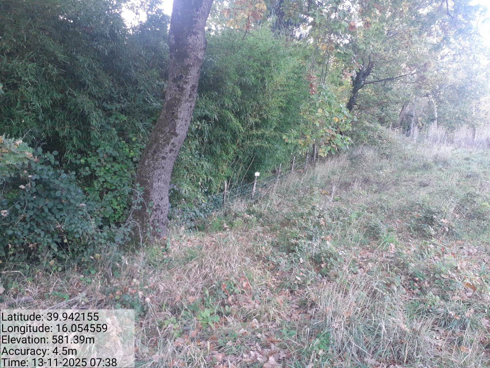 Galleria Fotografica Immagine