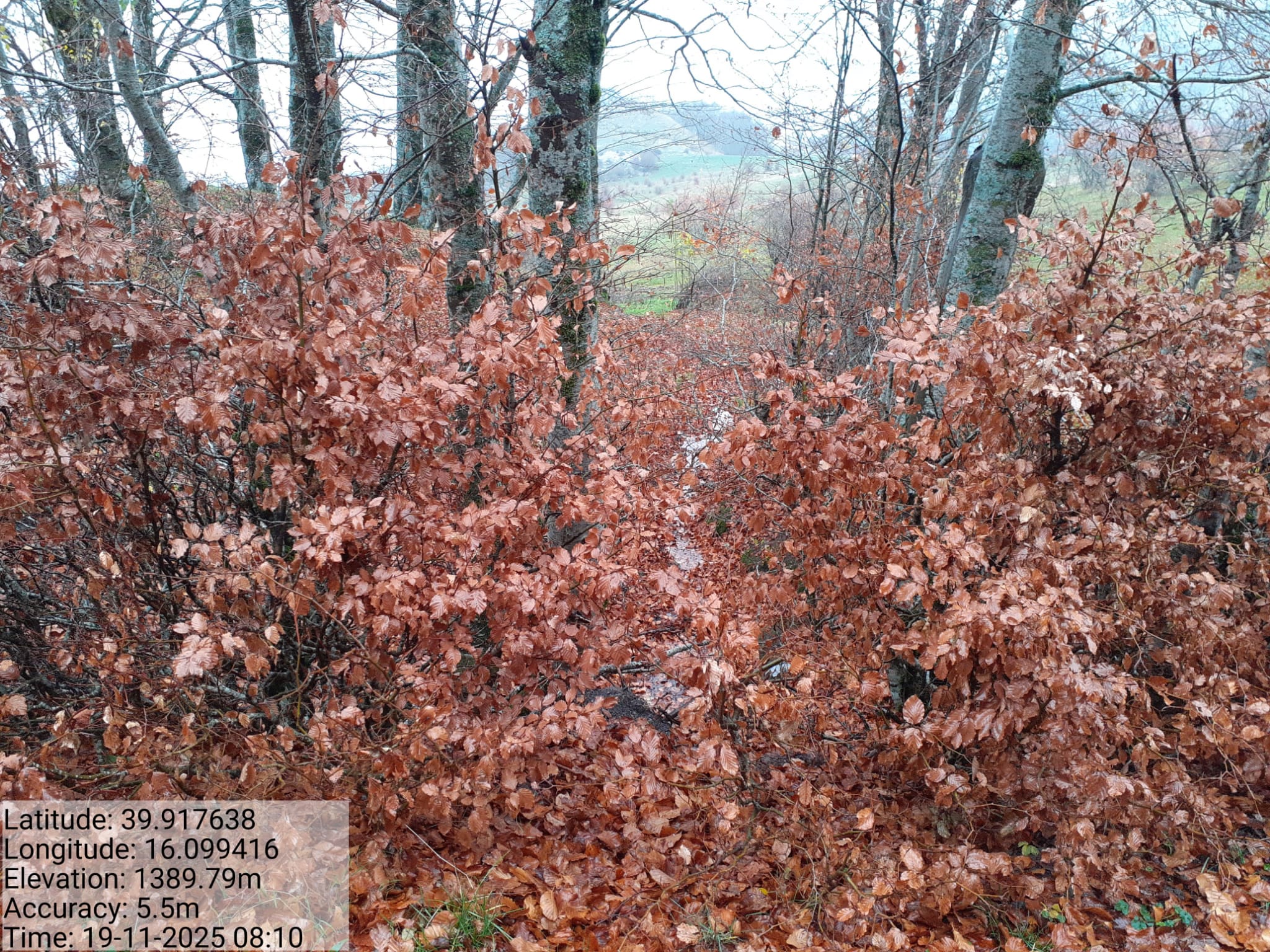 Galleria Fotografica Immagine