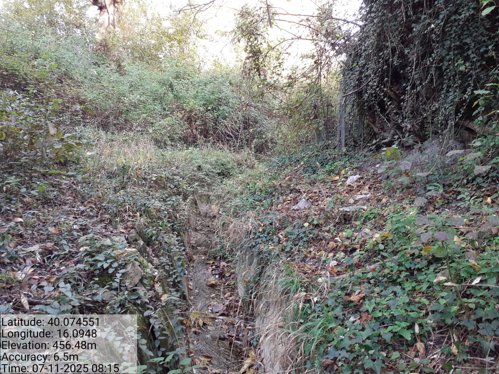 Galleria Fotografica Immagine