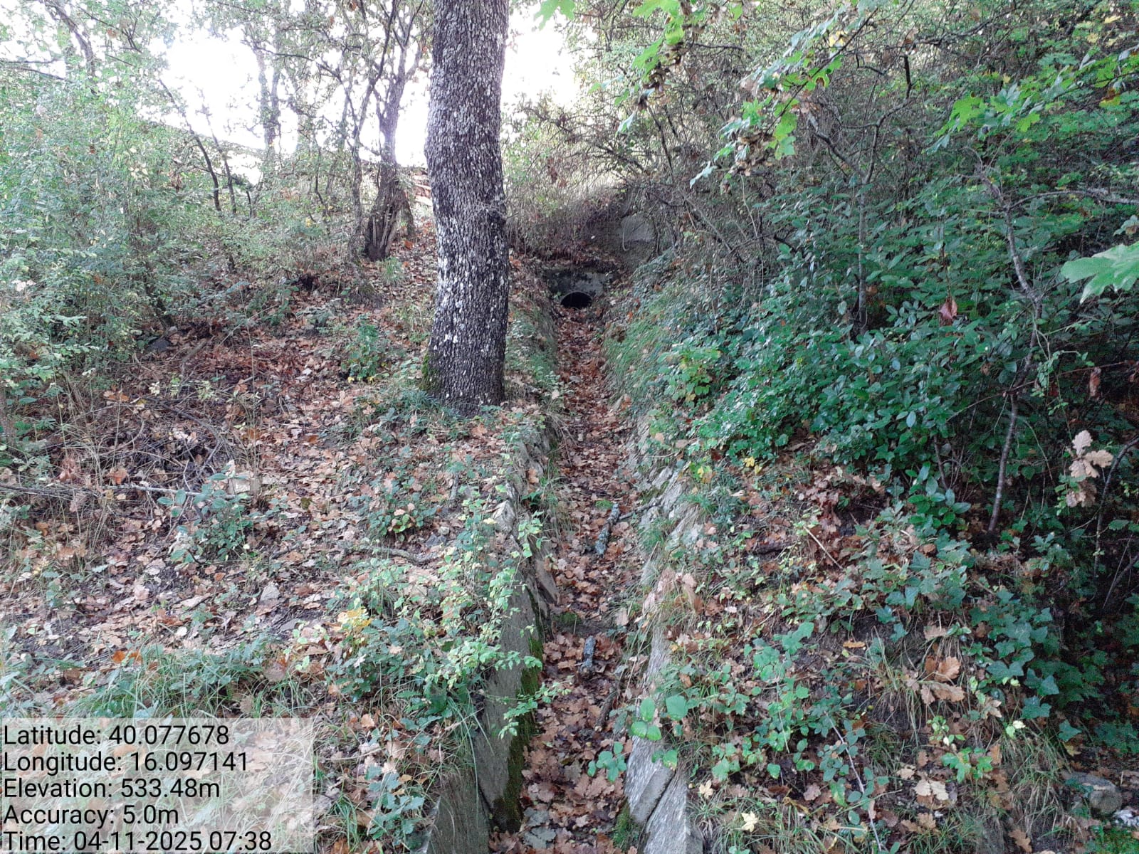 Galleria Fotografica Immagine