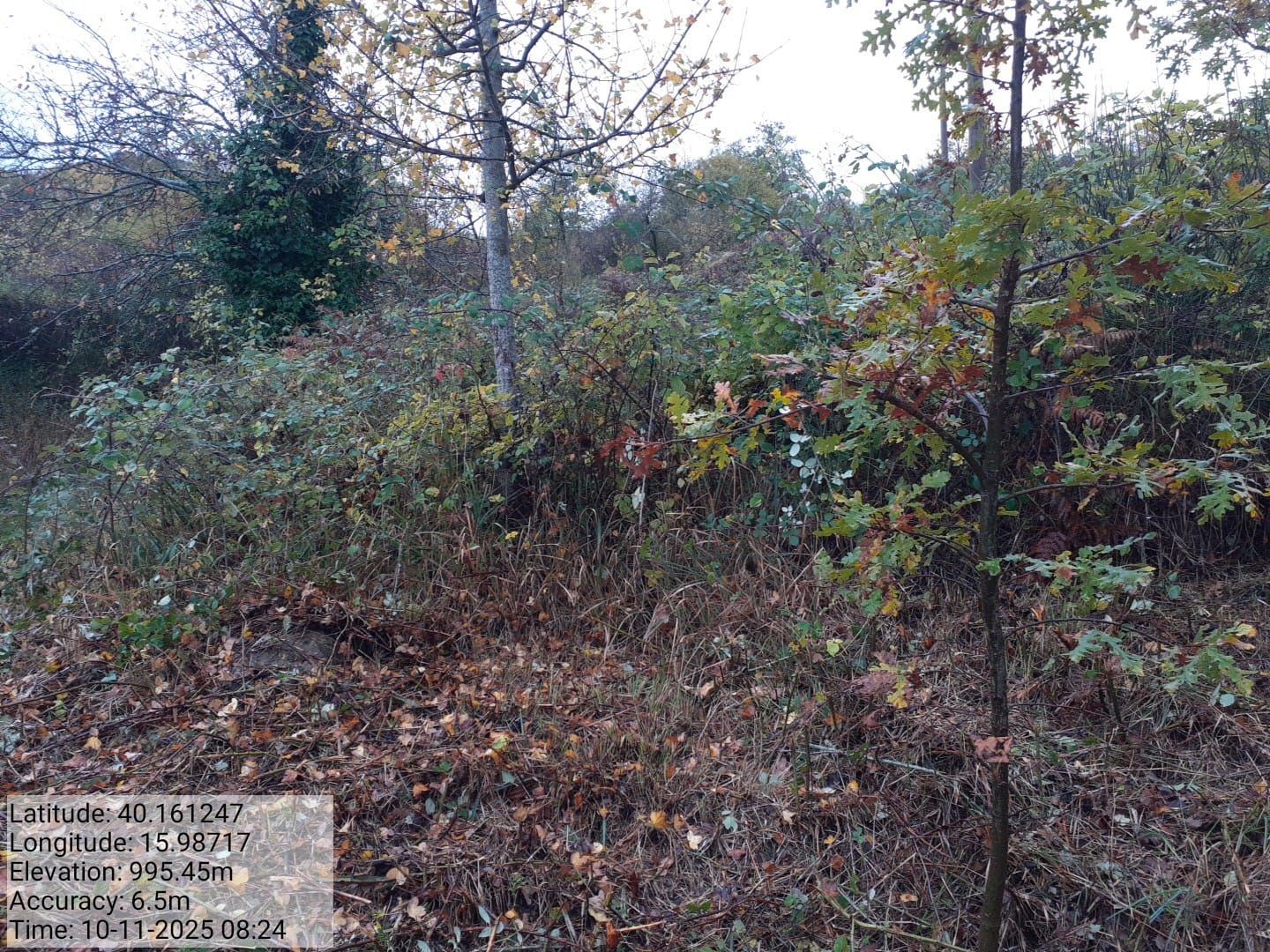 Galleria Fotografica Immagine