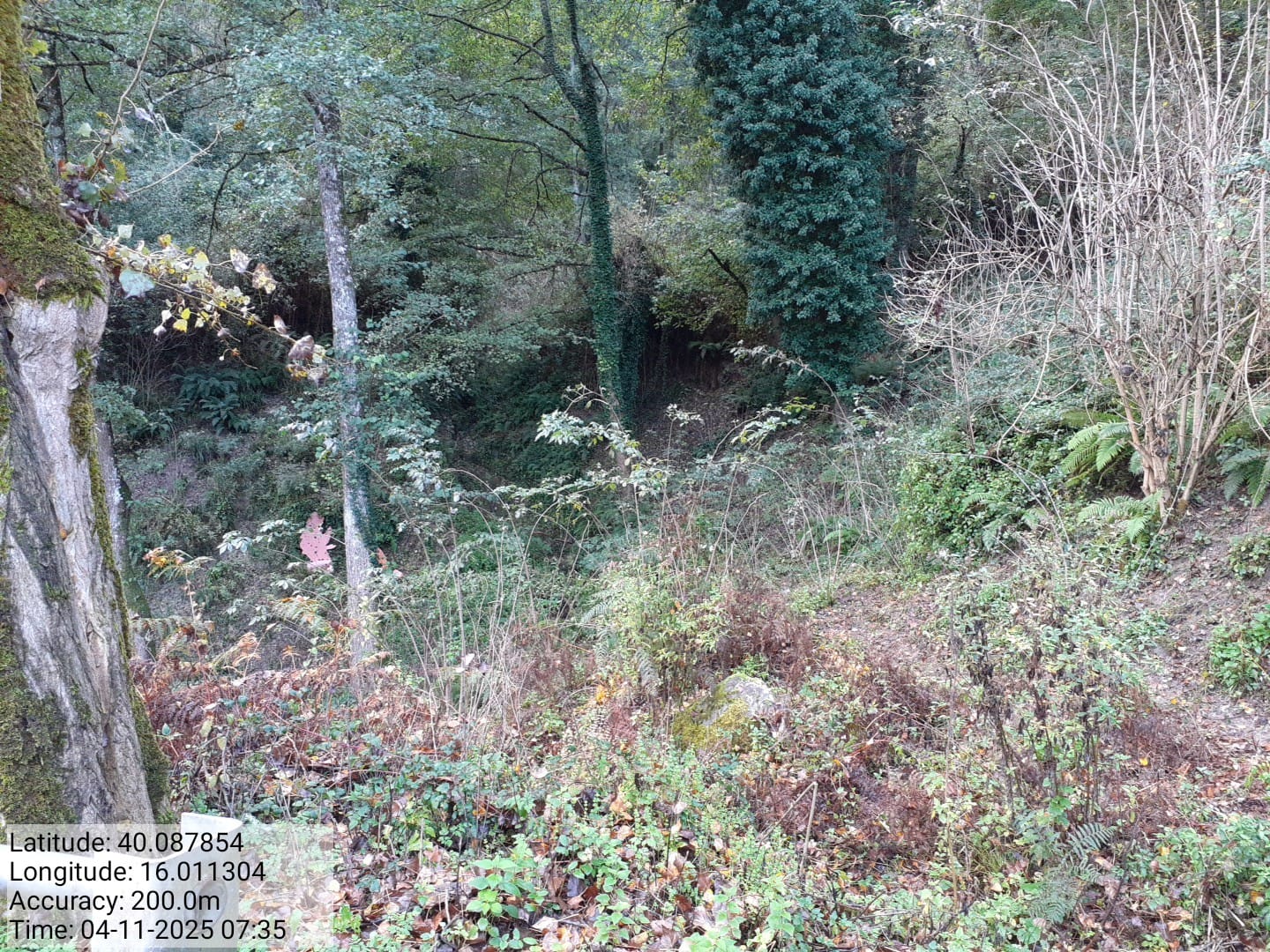 Galleria Fotografica Immagine