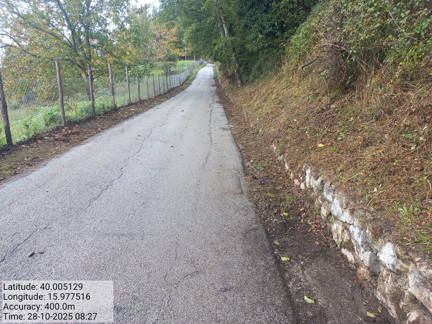 Galleria Fotografica Immagine