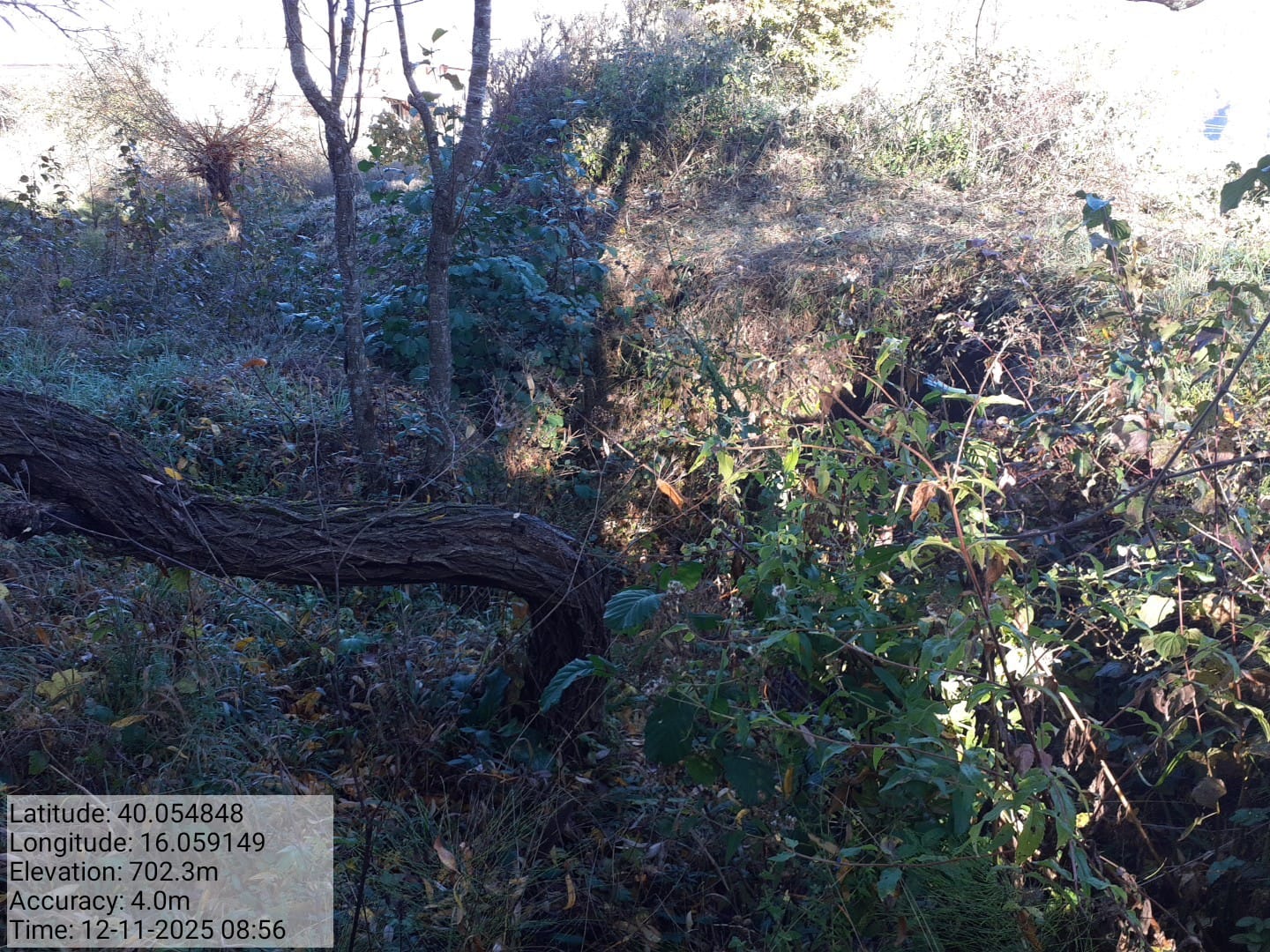 Galleria Fotografica Immagine