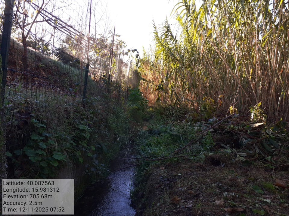 Galleria Fotografica Immagine