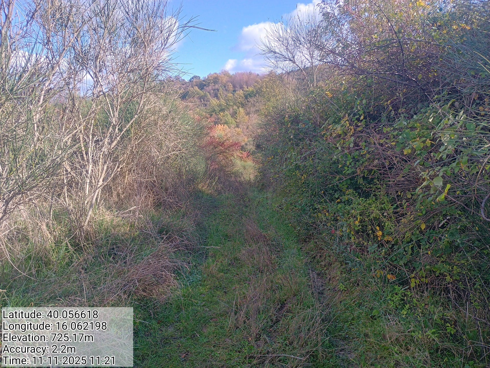 Galleria Fotografica Immagine