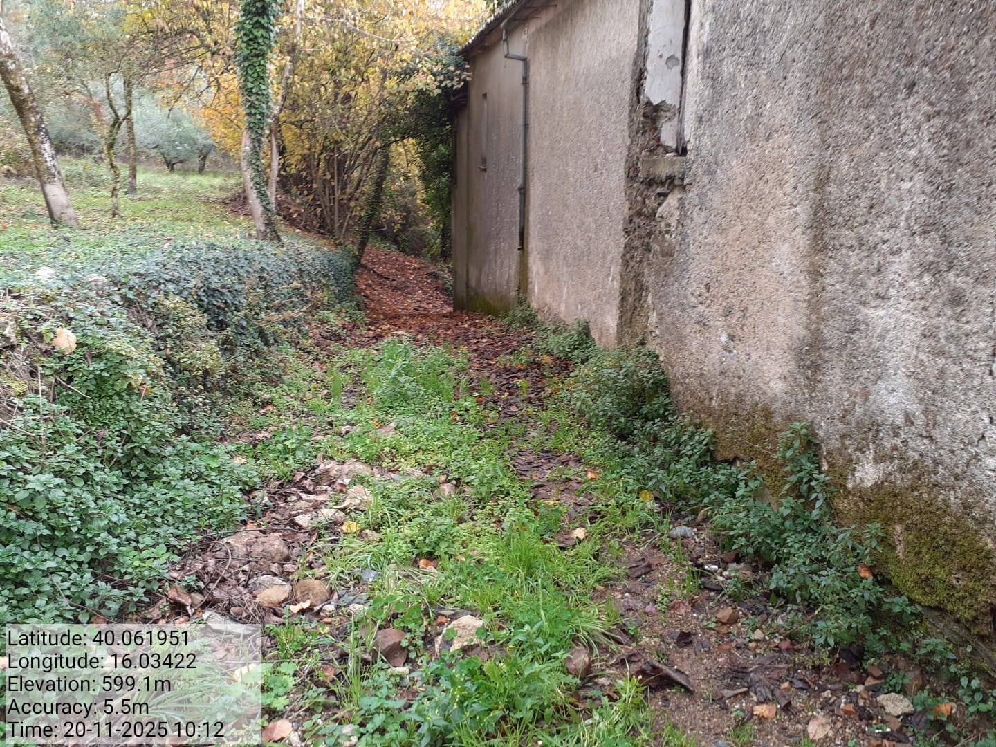 Galleria Fotografica Immagine