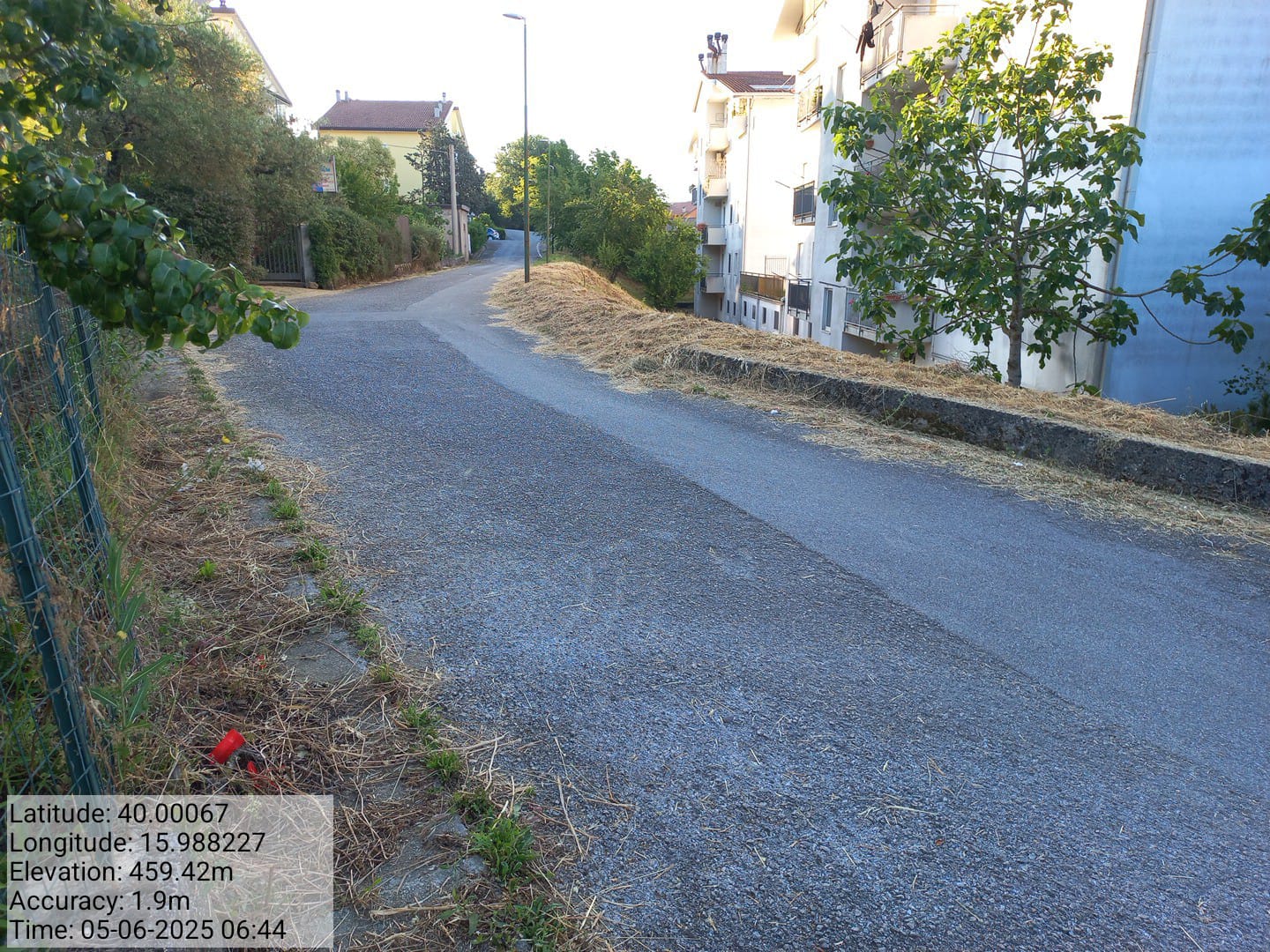 Galleria Fotografica Immagine