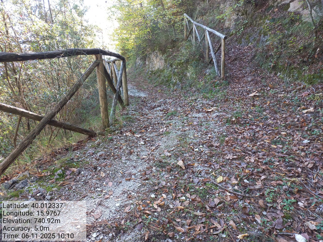 Galleria Fotografica Immagine