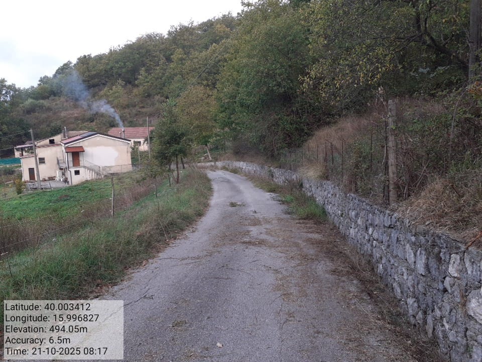 Galleria Fotografica Immagine