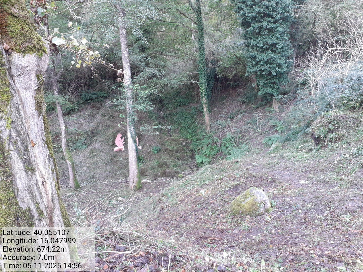 Galleria Fotografica Immagine