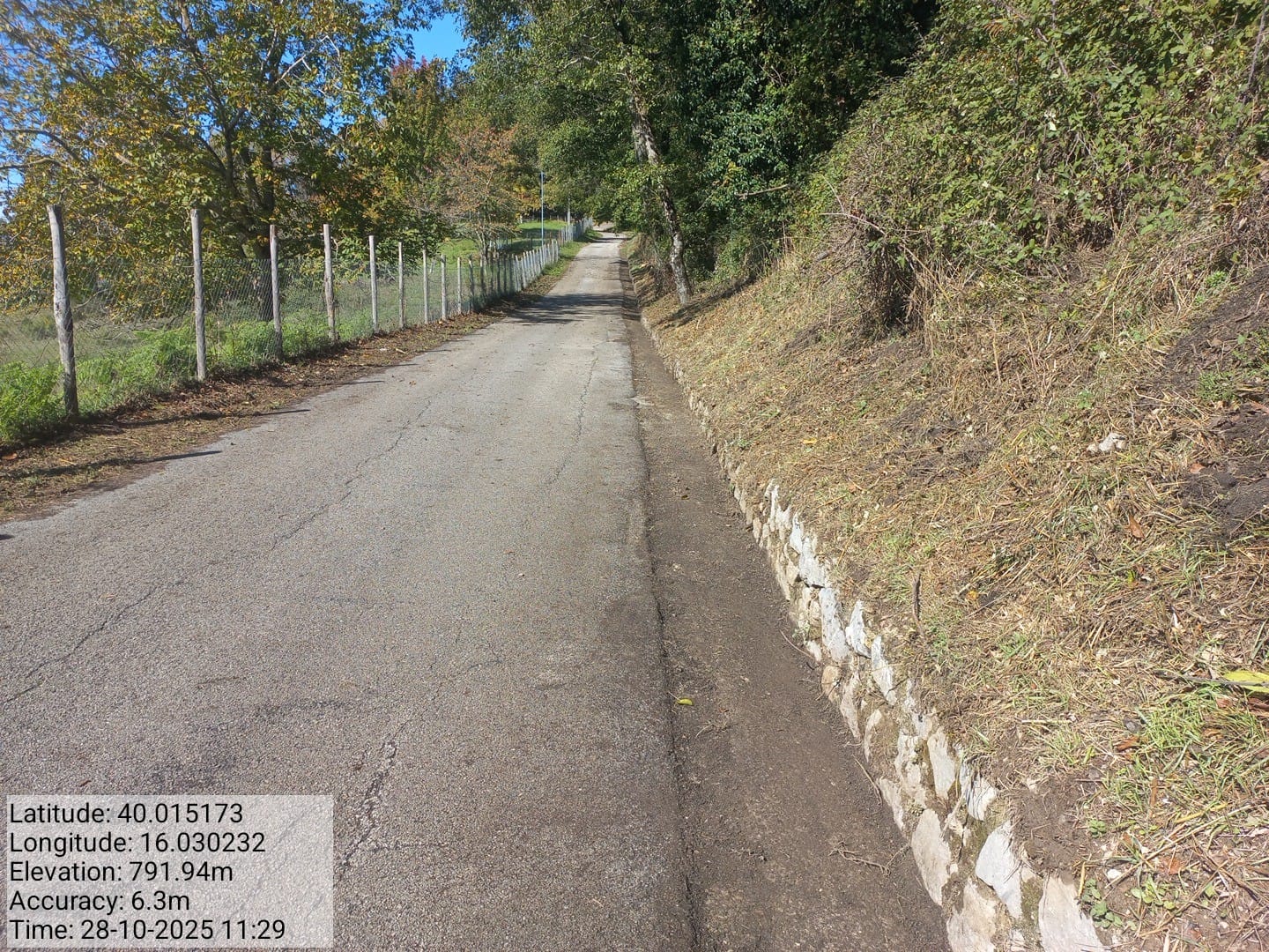 Galleria Fotografica Immagine