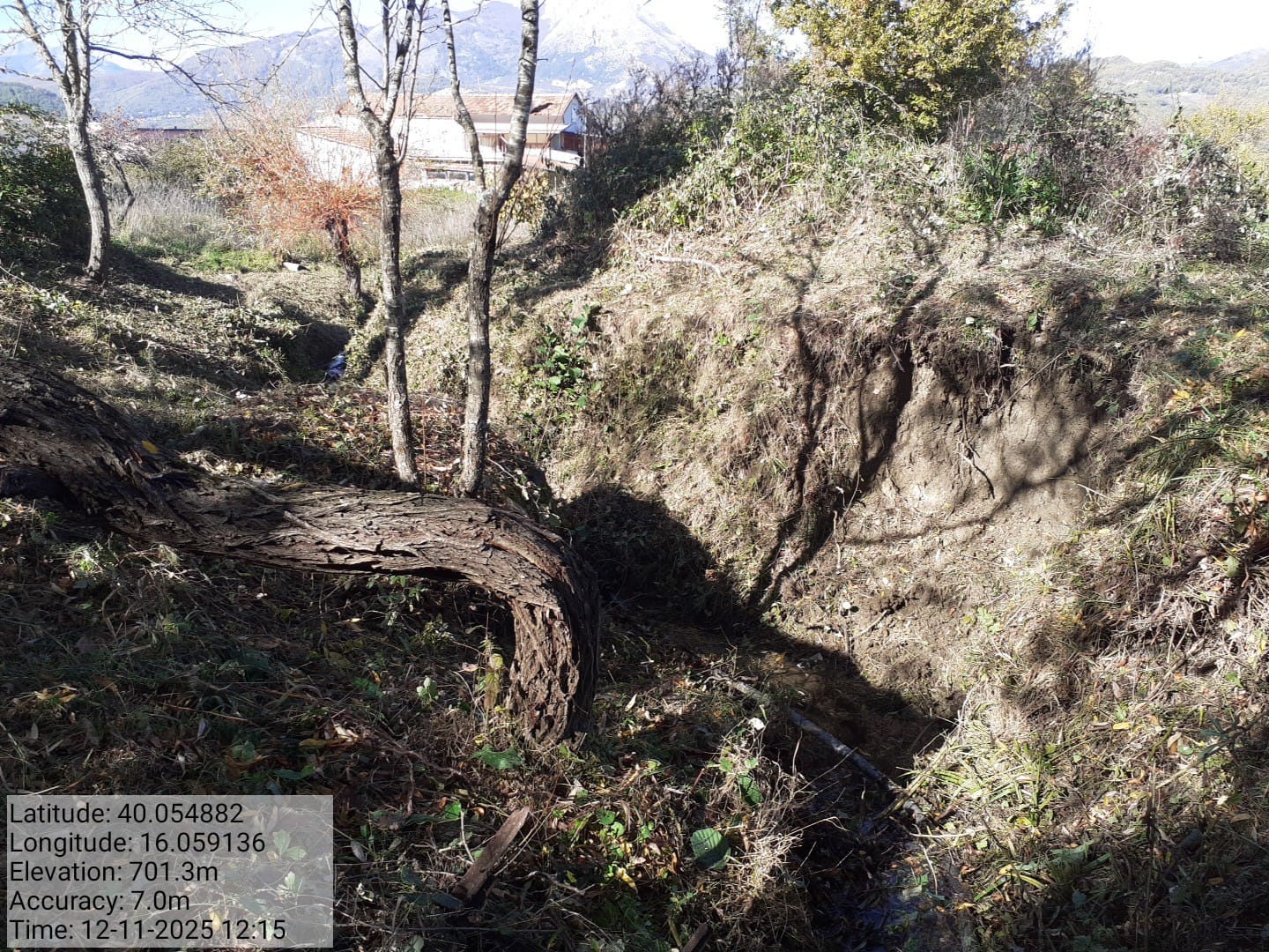 Galleria Fotografica Immagine