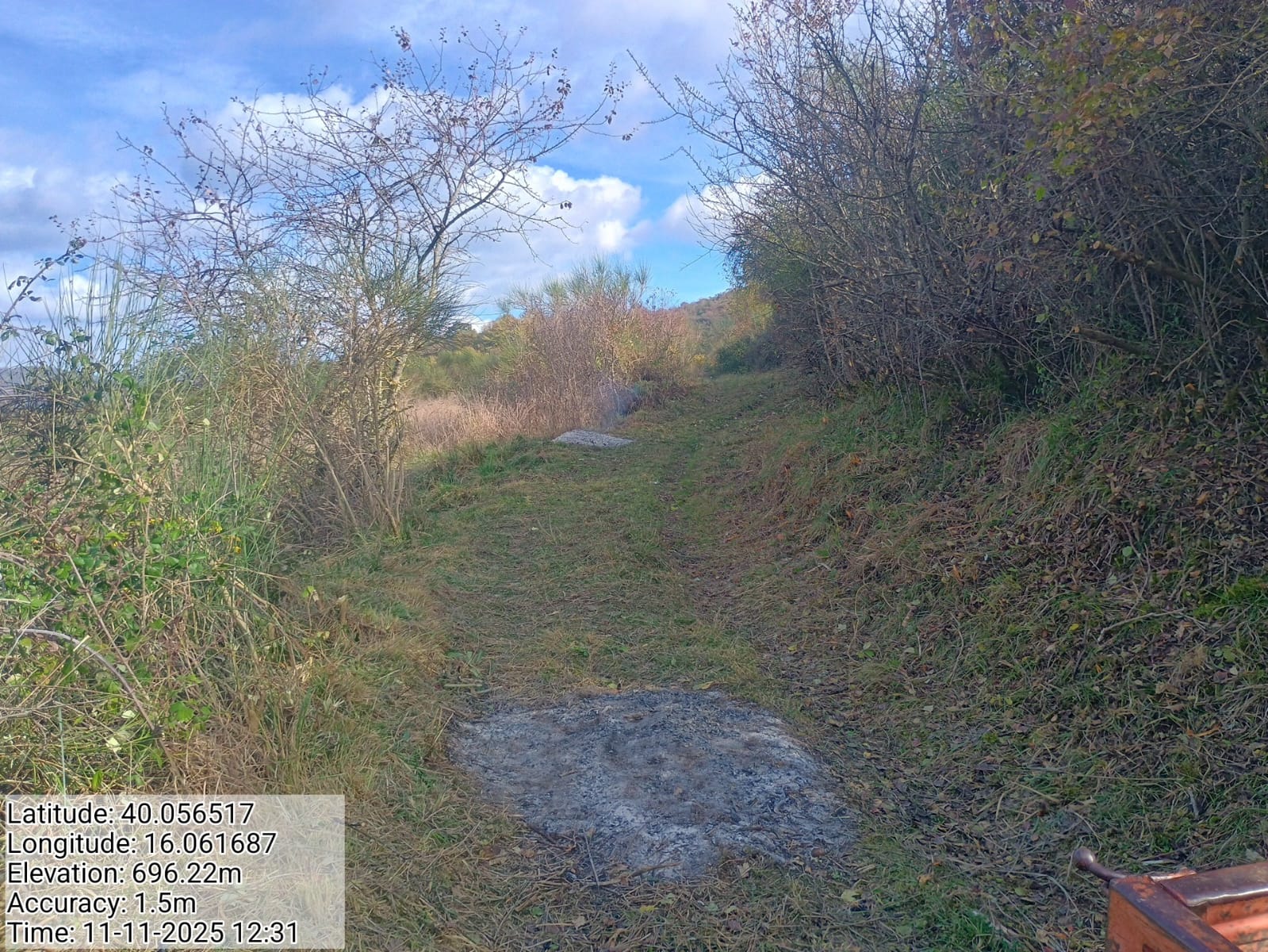 Galleria Fotografica Immagine