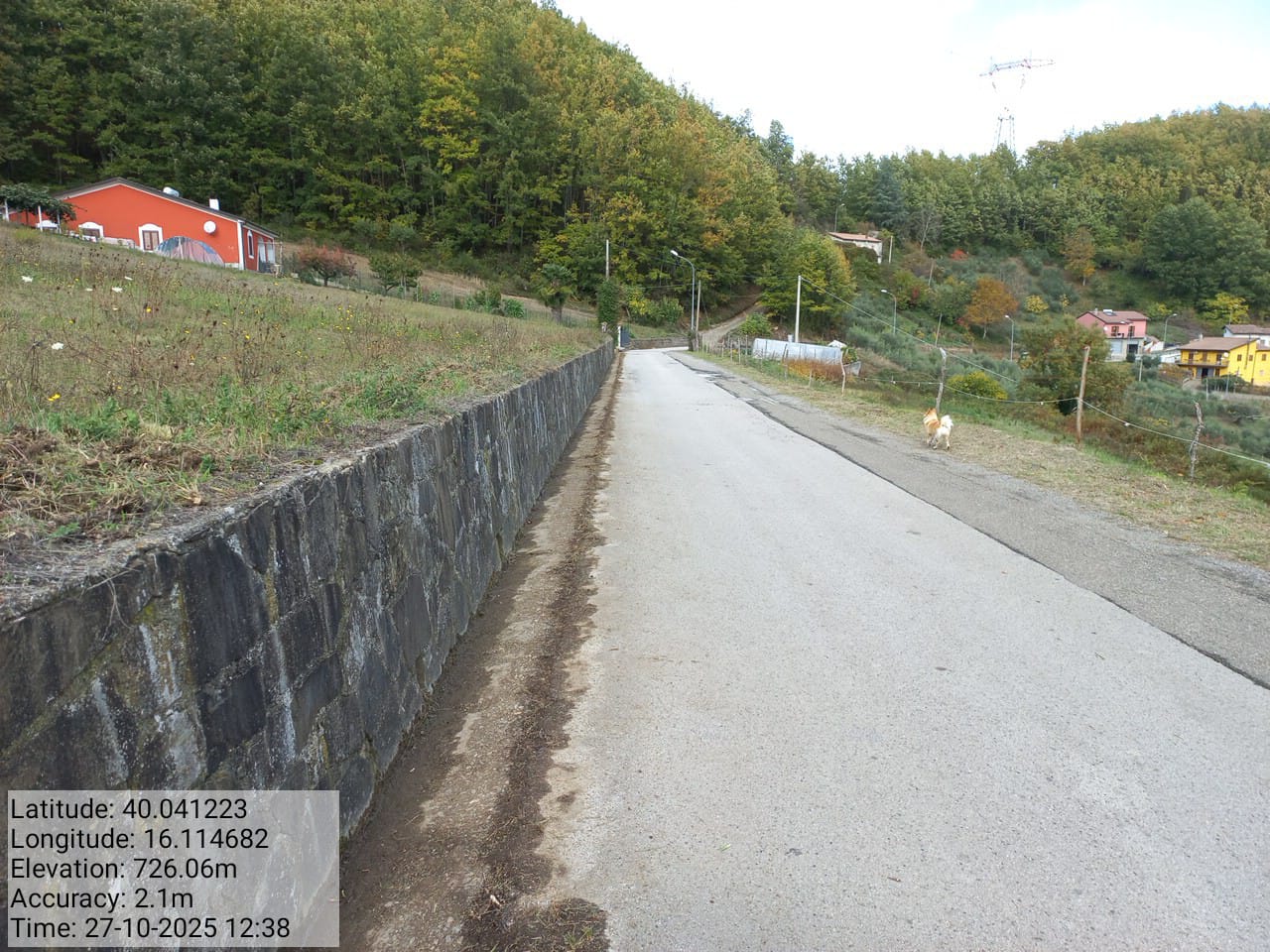 Galleria Fotografica Immagine