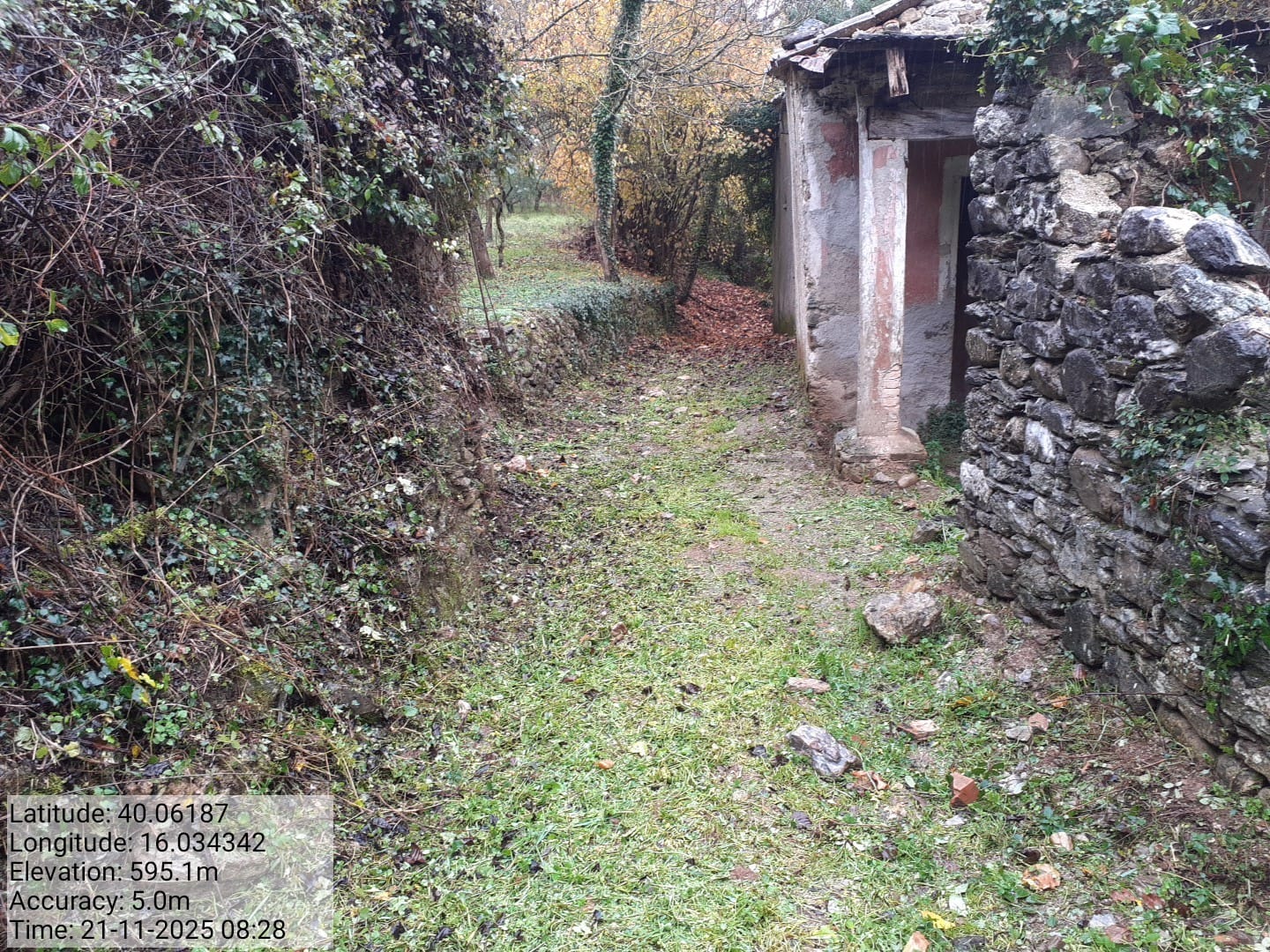 Galleria Fotografica Immagine