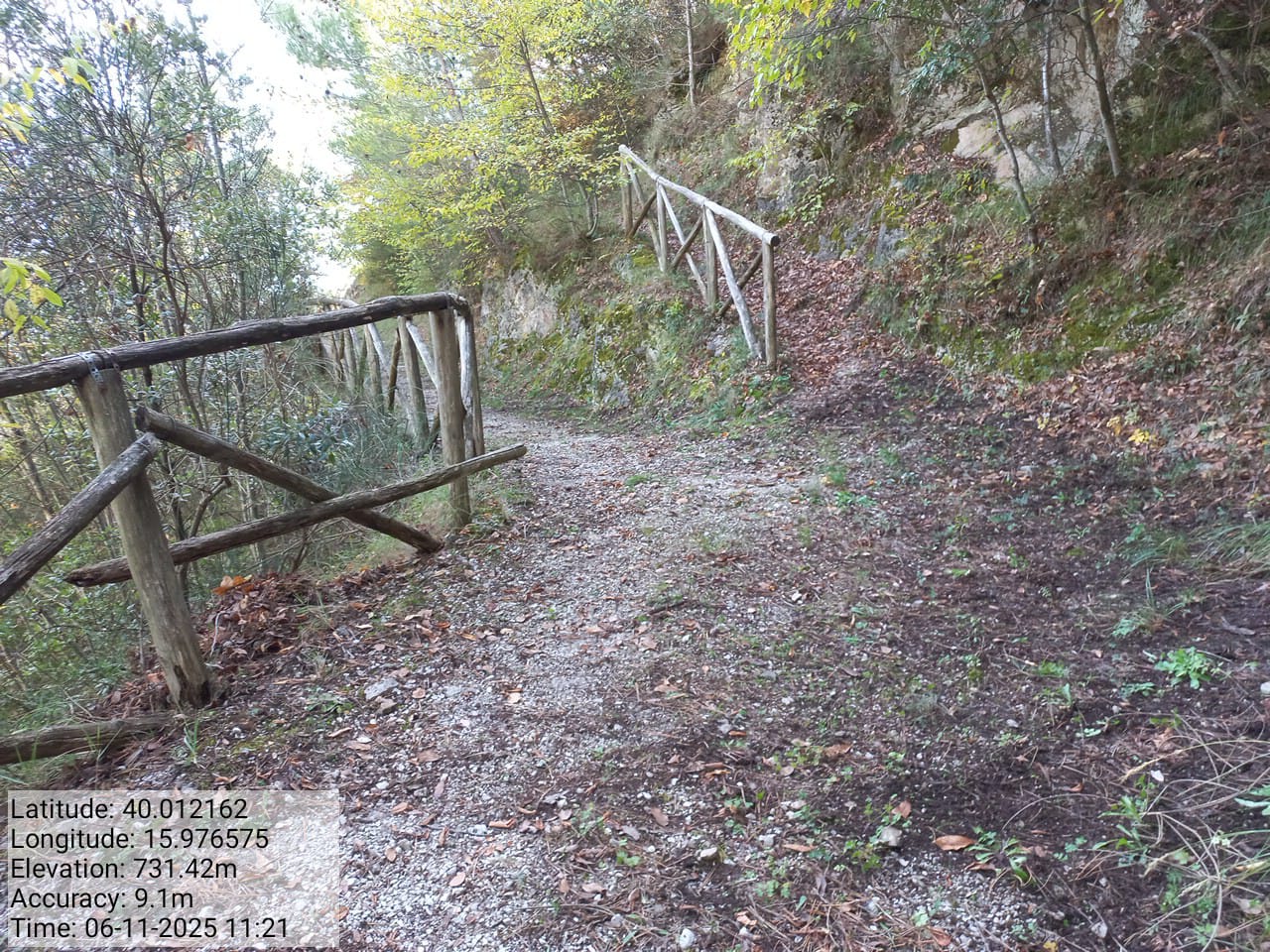 Galleria Fotografica Immagine