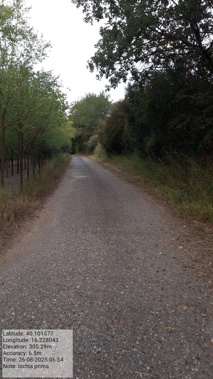 Galleria Fotografica Immagine