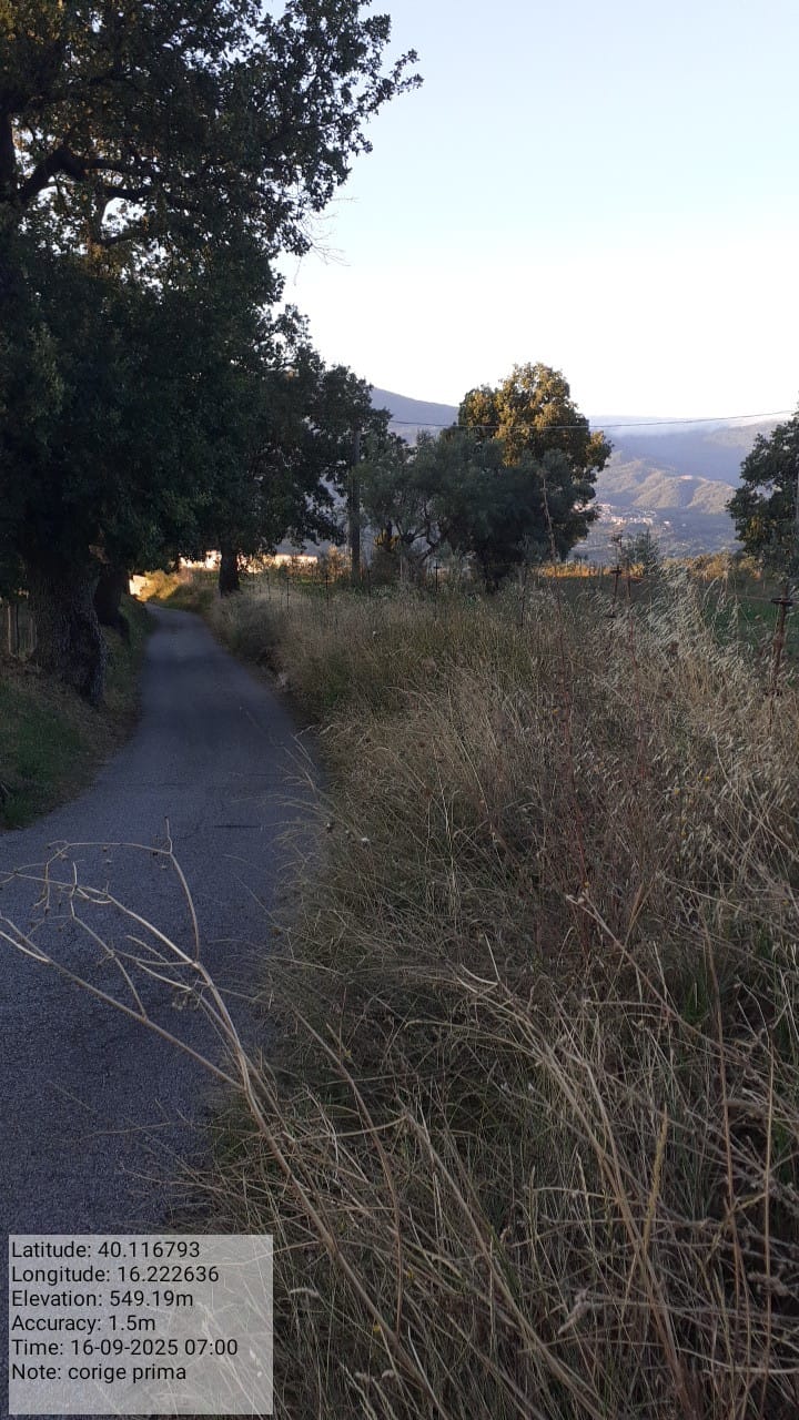 Galleria Fotografica Immagine